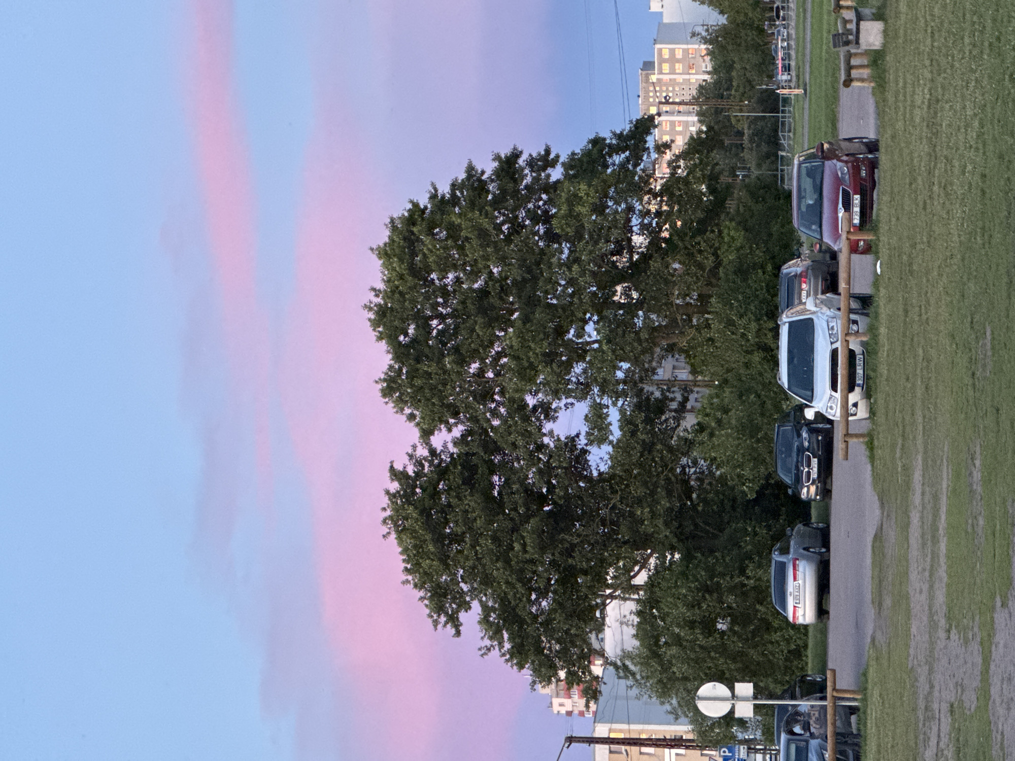 This media file shows a street scene in Tallinn, Estonia, with a prominent tree in the foreground. The sky is a dusky blend of blue and pink, suggesting either sunrise or sunset. Several cars are parked in a row along the street, and a grassy area runs alongside the road. In the background, buildings and trees are visible, hinting at an urban or suburban setting. There are no people or specific events depicted; the scene appears to be a quiet moment captured during twilight. The overall mood is tranquil and atmospheric. Some visible text on license plates includes "739 BLK" and "307 LEW".