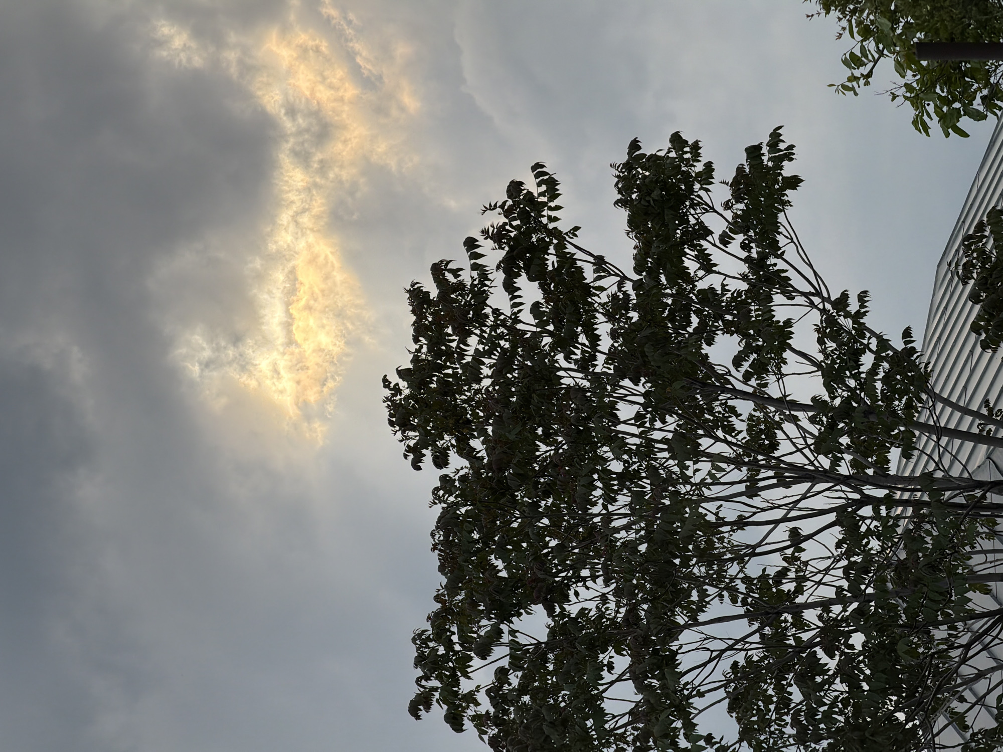 The image shows a tree in silhouette against a cloudy sky with a break in the clouds revealing sunlight. The tree's leaves appear windswept. Part of a building with vertical siding is visible to the right of the tree. The city of Tbilisi, Georgia is not explicitly verifiable from the image alone, but it is possible the image was taken there.