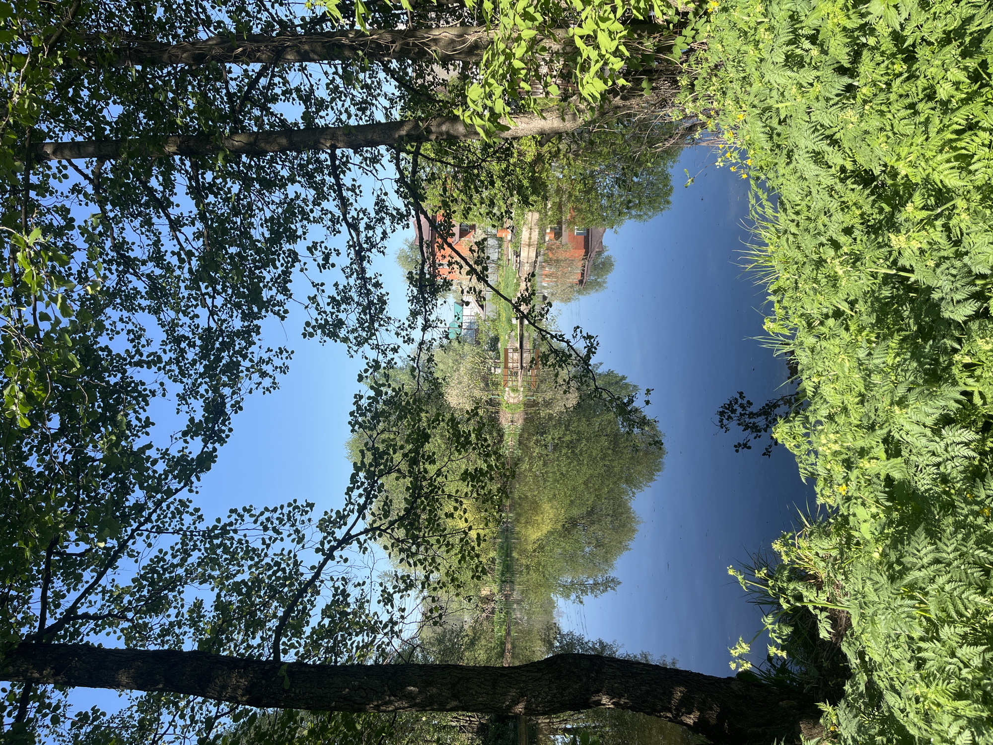The image shows a body of water with reflections of trees, vegetation, and buildings. It appears to be taken from a low angle, with tree branches and foliage framing the top and sides of the composition. The water surface is smooth, creating clear reflections of the surrounding environment. In the reflected portion, there are structures suggesting houses or buildings with red roofs. The sky is visible in the water's reflection, appearing as a deep blue. The vegetation consists of varied greenery, with tall grasses and bushy plants along the water's edge. The specific location in Chaikovsky, Russia cannot be confirmed.