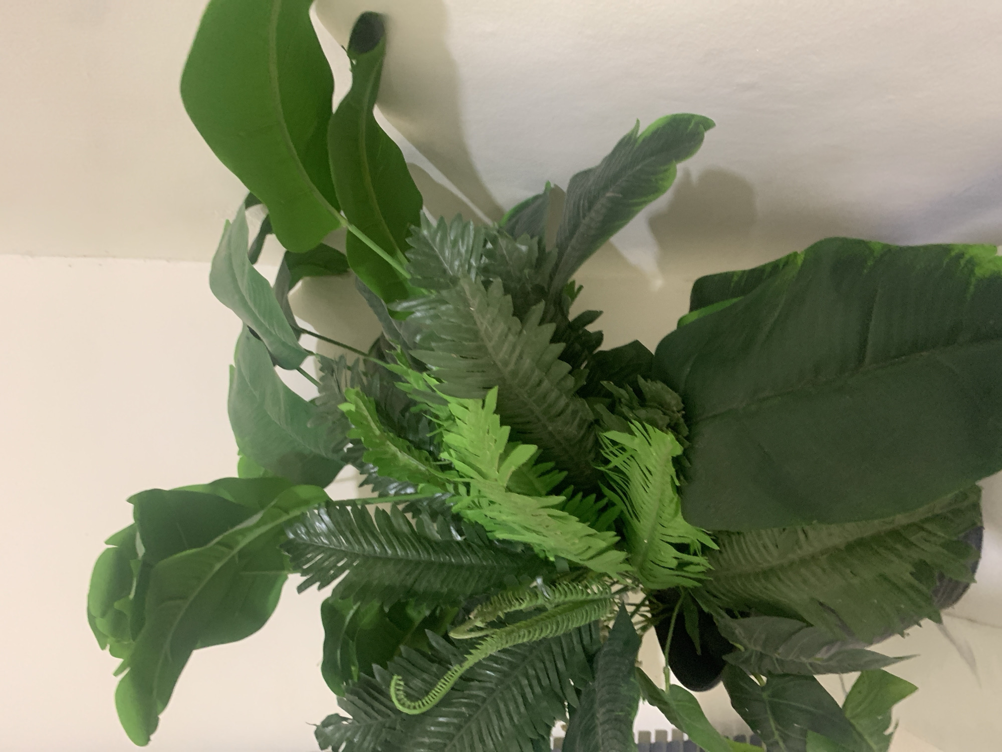 The image shows a close-up of a lush, artificial plant with a variety of green leaves, including broad, paddle-shaped leaves and feathery, fern-like fronds. The plant is arranged in a dark pot and is set against a plain, light-colored wall. The lighting suggests an indoor setting. The plant's leaves vary in shade from deep forest green to a lighter, brighter green. Some of the fronds are curled, showing intricate details. The image does not contain any people or actions. The location of Kuala Pembuang, Indonesia, is not depicted or suggested by any elements within the image itself.