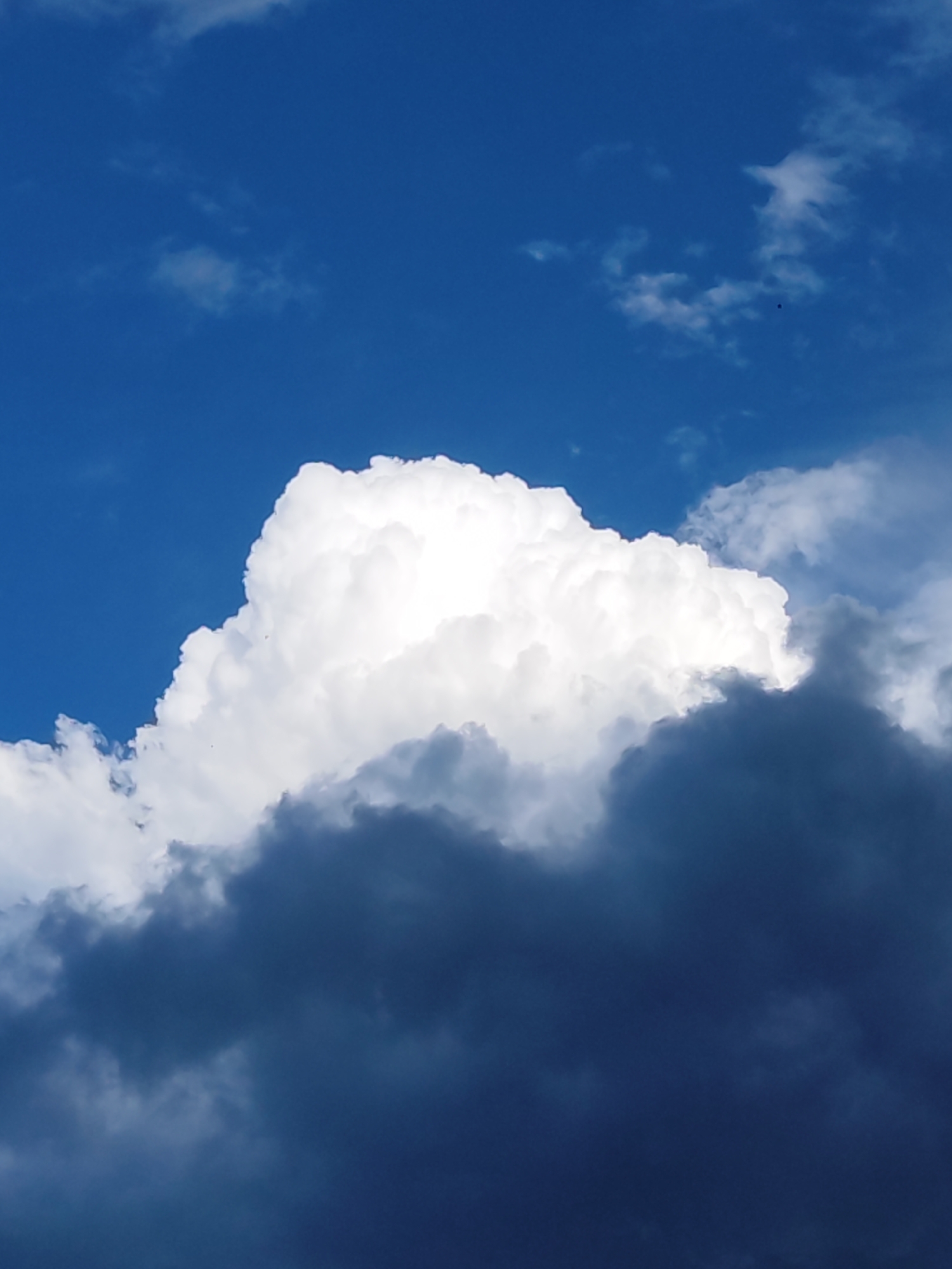 This image shows a close-up view of dramatic clouds against a deep blue sky. The clouds are varied in texture and color, with a large, bright white cumulus cloud dominating the center, illuminated by sunlight. Below this, darker, more ominous clouds suggest impending weather changes. The image does not contain any elements that place it specifically within the city of Chaikovsky, Russia.