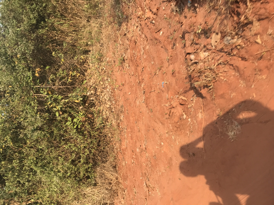 The image presents an outdoor scene dominated by a reddish-brown, dusty earth path or clearing, bordered by dense vegetation. On the left side, lush green bushes and shrubs grow thickly, interspersed with some drier, lighter-colored grass and fallen leaves. The ground itself is uneven, with small depressions and scattered natural debris like dry leaves and twigs, along with a tiny piece of blue litter visible near the center.
A distinct, dark shadow of a person, presumably the photographer, is cast across the lower right portion of the red earth. The shadow shows the outline of a head, shoulders, and arms holding a device, indicating bright, direct sunlight. The sharpness of the shadow suggests a sunny day, likely during the mid-morning or afternoon. The characteristic rich, red soil is a strong visual cue for the region, consistent with the given location context of Ogodo, Nigeria. No other people or specific activities are discernible, and no visible text is present in the frame.