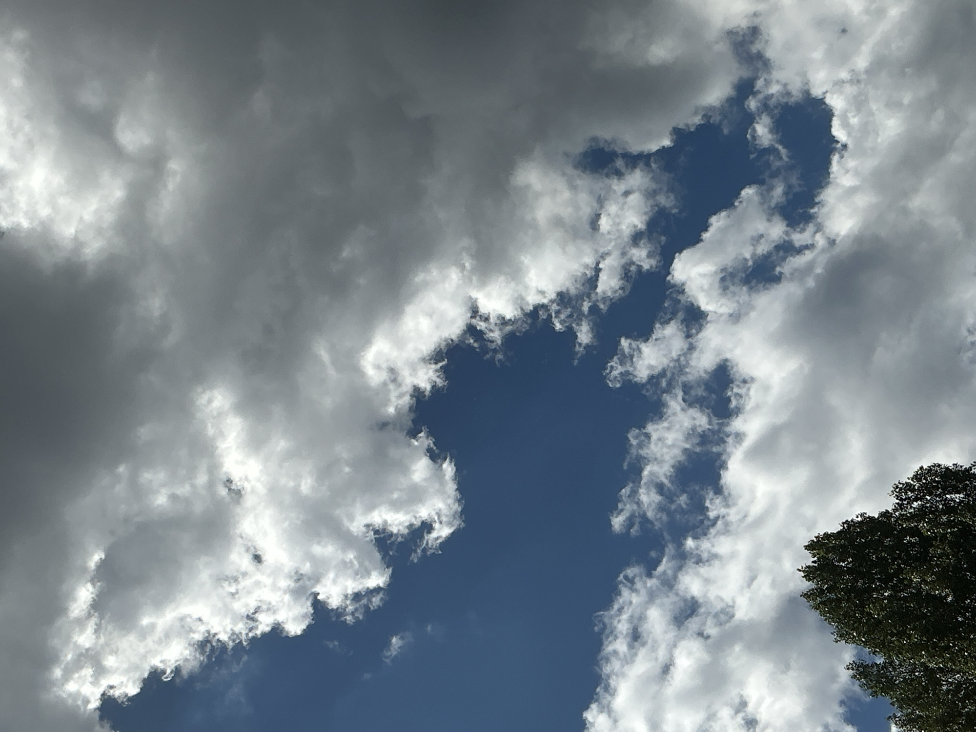 This is a photograph of the sky. The image is dominated by clouds of varying shades of grey and white, with patches of clear blue sky visible between them. The clouds appear to be of different types, with some looking fluffy and white, suggesting cumulus clouds, while others are darker and more ominous, possibly indicating cumulonimbus clouds. The lighting suggests it is daytime, with sunlight illuminating the edges of some of the clouds. The top of a tree with dark green foliage is visible in the bottom right corner of the frame, indicating an outdoor setting. There is no visible text in the image. The scene evokes a sense of natural beauty and the dynamic nature of weather patterns.