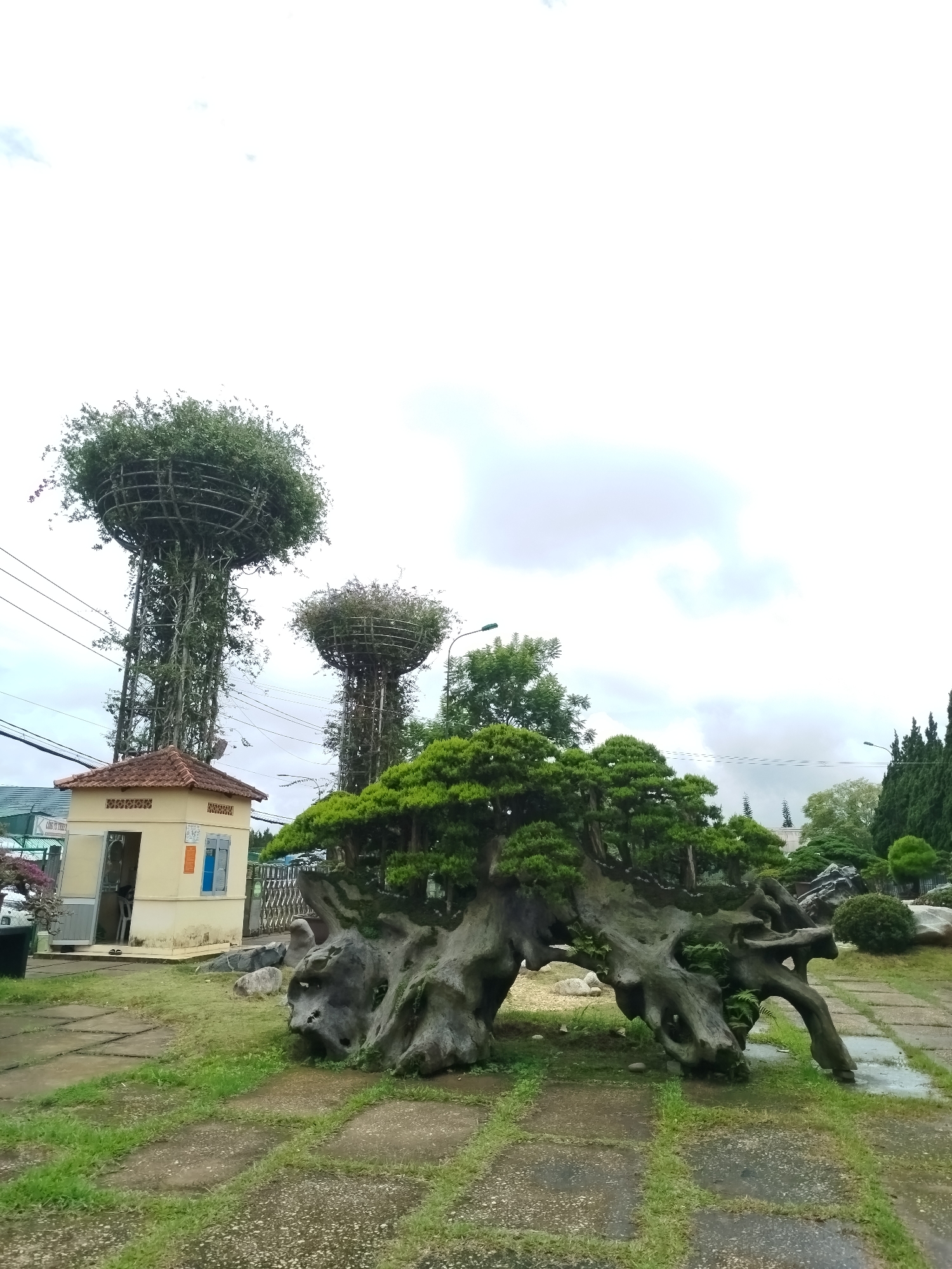 The image depicts an outdoor scene in the city of Lâm Viên - Đà Lạt, Vietnam. In the foreground, a large, gnarled tree root system, sculpted and cultivated as a bonsai, dominates the view. This bonsai is densely covered with green foliage and appears to be resting on a stone-like base. To the left of the bonsai is a small, cream-colored structure with a tiled roof, resembling a guardhouse or small office, with an open doorway. Behind the guardhouse, two tall, tree-like structures are visible. These structures are formed by metal frameworks covered in vegetation, giving them a columnar appearance with rounded tops. The ground is paved with interlocking stone slabs and patches of green grass, appearing somewhat damp. In the background, other trees and foliage are visible, along with power lines stretching across the sky. The sky is overcast with a pale, cloudy appearance. The overall impression is that of a meticulously maintained garden or park with unusual horticultural displays.