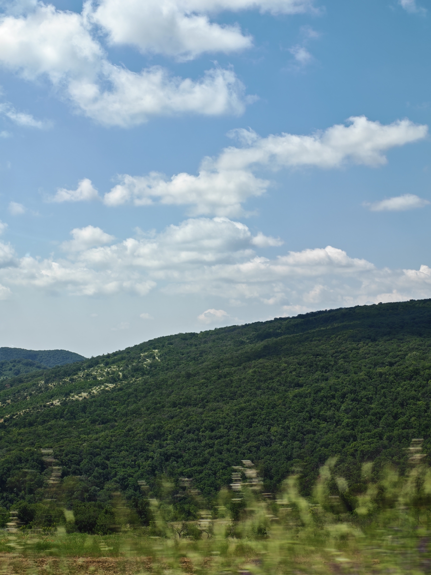 The image captures a wide-angle landscape in the vicinity of Ivaylovgrad, Bulgaria, depicting a natural environment under a clear sky. The upper two-fifths of the frame are dominated by a bright blue sky with scattered, fluffy white cumulus clouds. Below, a series of undulating hills and mountains extends across the midground and background, densely covered in dark green deciduous forest. Patches of lighter green vegetation are visible on some slopes. The immediate foreground displays significant horizontal motion blur, characterized by streaks of green and brown vegetation, consistent with a photograph taken from a moving vehicle. No human subjects, animals, or man-made structures are discernible within the visible landscape. The lighting indicates a sunny daytime condition.