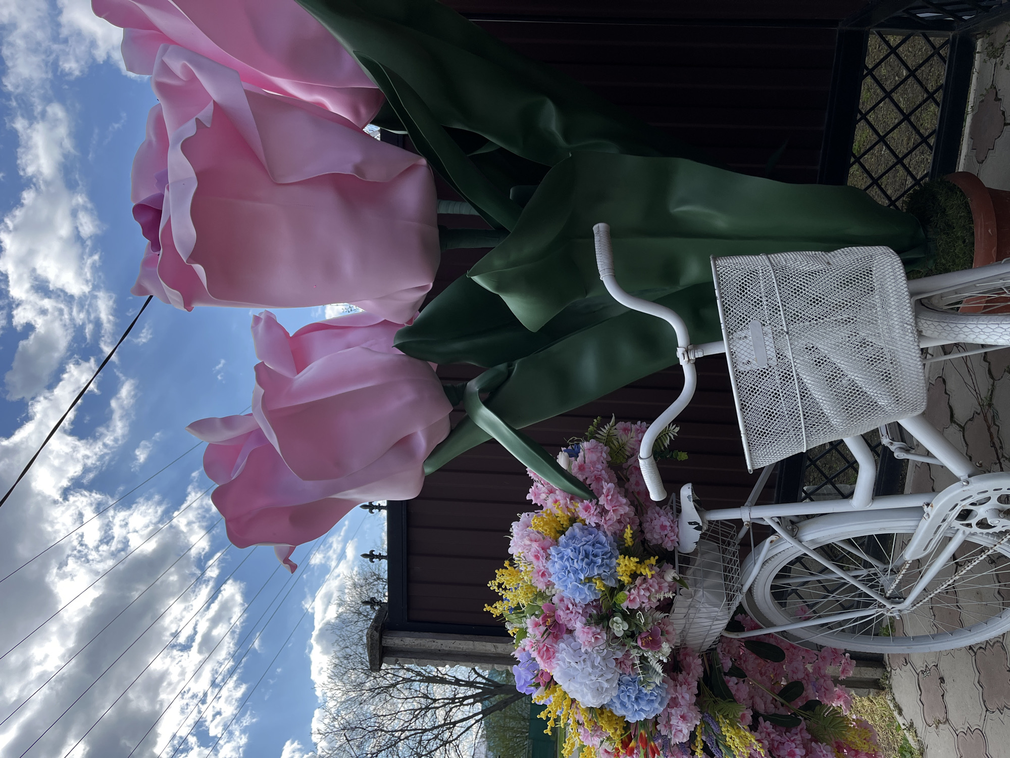 The image shows a white bicycle decorated with colorful flowers, parked in front of a brown fence or wall, possibly in Novopokrovskaya, Russia. Large, artificial pink tulips with green stems and leaves are positioned near the bicycle. The sky is visible in the background.