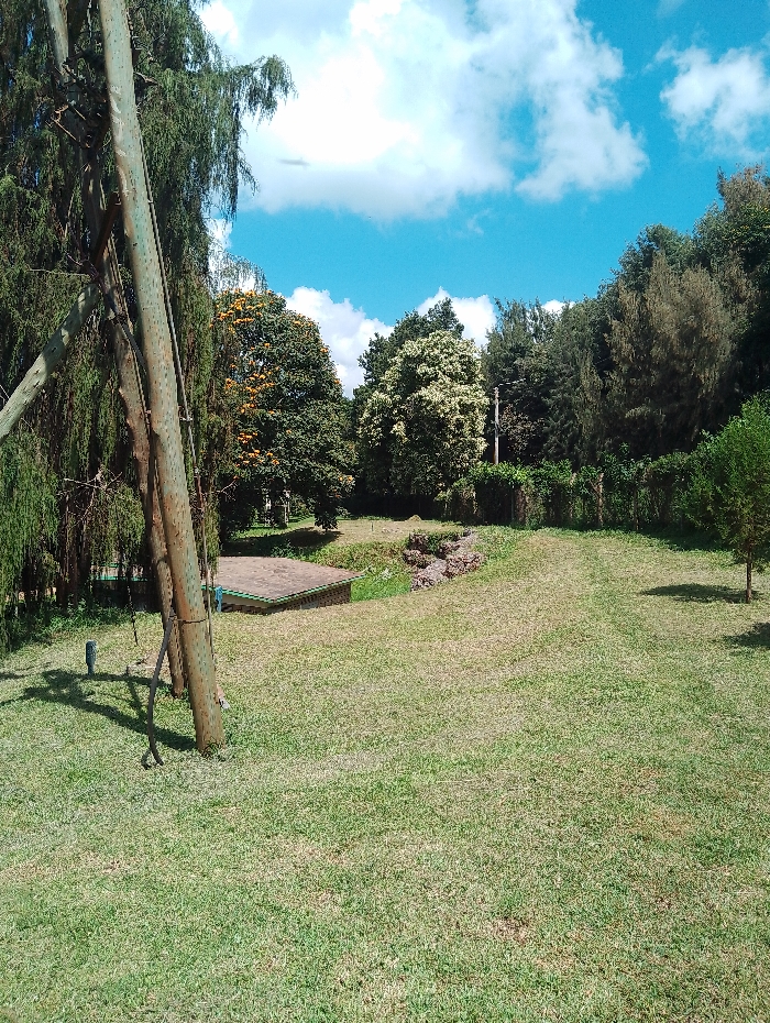 This image captures a serene outdoor landscape in Gitaru, Kenya, dominated by lush greenery under a bright blue sky with scattered white, cumulus clouds.
The foreground is primarily a well-maintained grassy lawn, extending from the bottom of the frame and gently sloping upwards towards the back. On the left side of the foreground, a tall, sturdy utility pole, possibly made of wood or concrete, stands prominently, casting a long shadow across the grass. Visible attachments or cables are present on the pole.
In the mid-ground, nestled into the landscape on the left, there is a small, low-lying structure with a dark, sloping roof, partially visible. Towards the right mid-ground, a patch of rocky, uneven ground breaks the continuous expanse of grass.
The background is filled with a dense array of trees and foliage. Notable among them are a tree with vibrant orange or yellow blossoms positioned in the middle-left background, and another tree further to the right exhibiting lighter, possibly white, blossoms. The varied green canopy suggests a rich, diverse ecosystem.
The scene appears to be captured on a sunny day, likely during the morning or early afternoon, given the clear skies and well-defined shadows. The overall impression is one of natural beauty and tranquility. No people are visible, and no specific activity or event is taking place. There is no discernible text within the image.