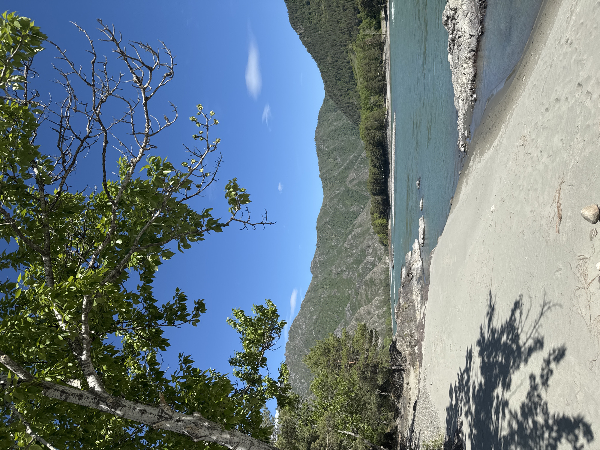 The image depicts a landscape scene in Elanda, Russia. A river runs through the center of the frame, with a sandy beach on one side and a forested mountain range on the other. In the foreground, there's a tree with green leaves on the left side, reaching towards a clear blue sky with scattered white clouds. The sandy beach occupies a significant portion of the frame, with shadows of trees cast on it. The river has a turquoise hue, possibly due to mineral content. The mountain range is covered in lush green vegetation.