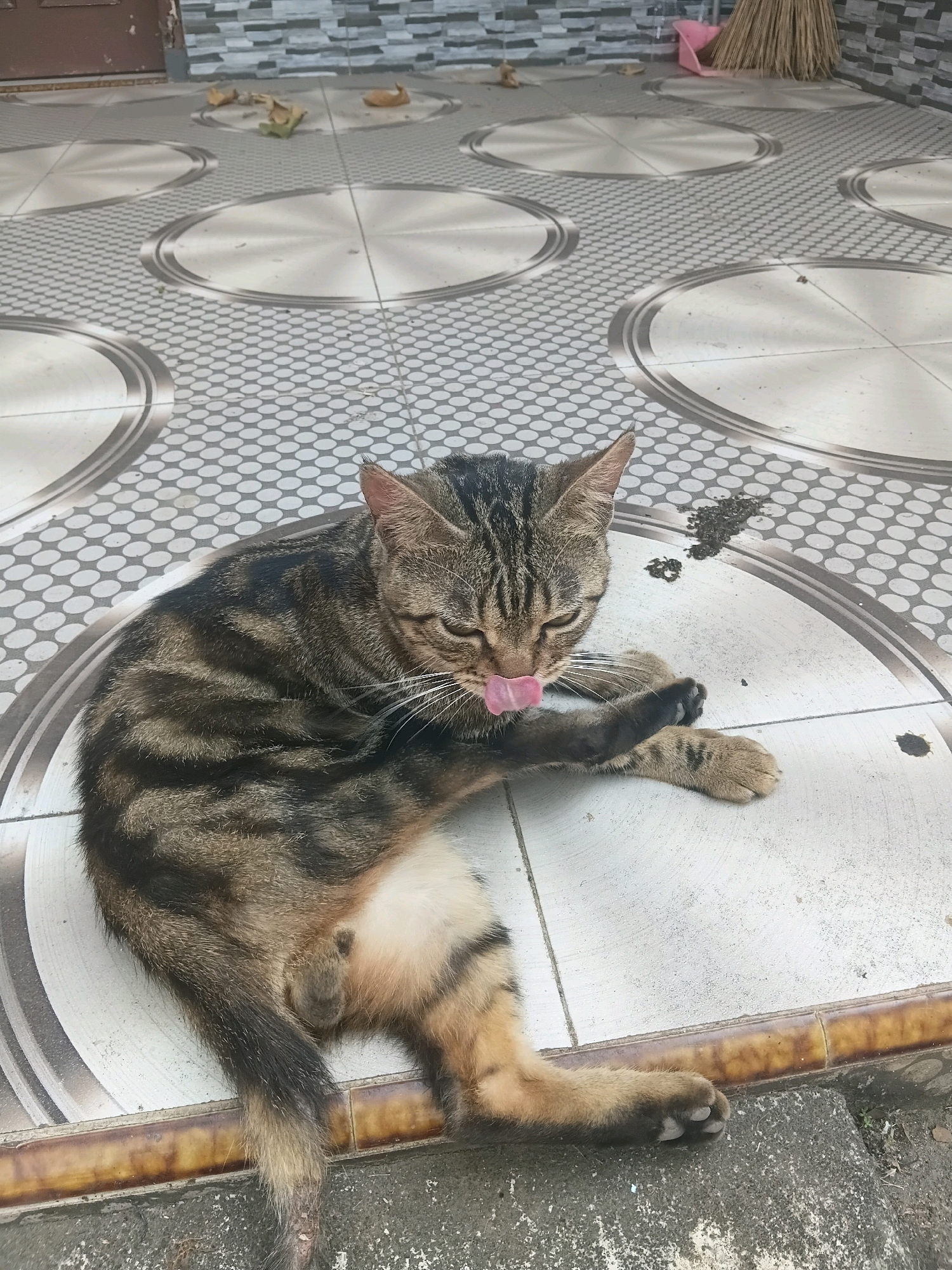 An adult tabby cat is grooming itself while lying on a patterned tiled floor. The cat is mostly brown and black with distinctive stripes and a light-colored belly. Its tongue is extended, licking its front paw. The floor tiles are white with a repeating pattern of grey dots surrounding large circular metallic-looking inlays. In the background, there is a brick wall and a brown door. Scattered dry leaves are visible on the tiles in the upper portion of the image. There is also a pile of dark debris on the tiles to the right of the cat. The scene appears to be an outdoor patio or walkway in Cikal, Indonesia.