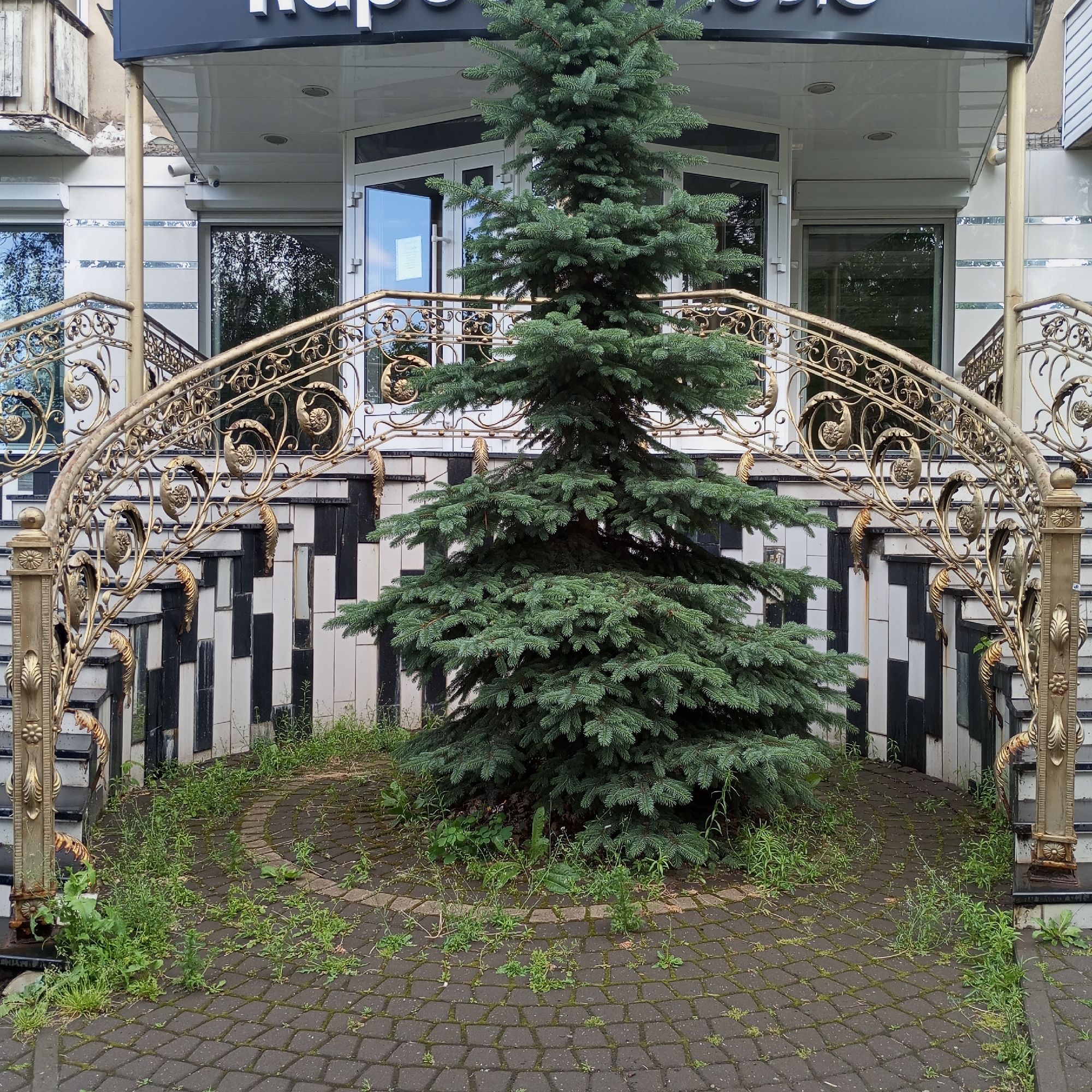 The image shows the entrance to a building with a large fir tree positioned in front of the stairs. The stairs have ornate golden railings and are flanked by a wall covered in black and white tiles. The ground is paved with dark gray interlocking stones, and there is a noticeable amount of weeds growing in the cracks and around the base of the tree. Two white security cameras are visible mounted under the building's overhang. The building appears to be a commercial establishment, possibly a shop or restaurant, as suggested by the signage at the top of the image. The overall impression is one of a slightly neglected but decorative entrance. This scene is located at the entrance of the "Kapriz" cafe on Chapaev Street in Izhevsk, Russia.
