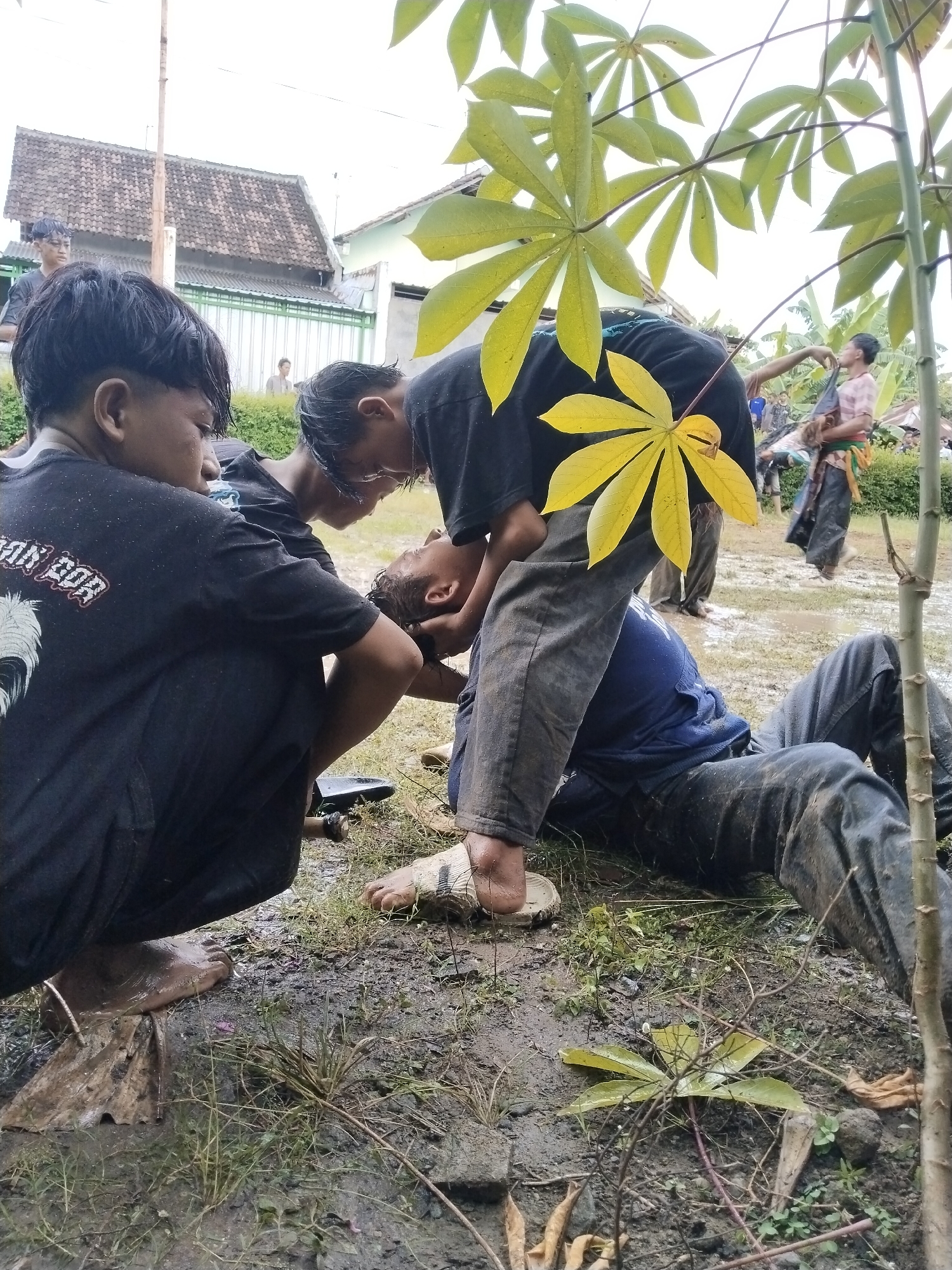 In Karang Tengah, Indonesia, a muddy outdoor scene shows three young males attending to a prone individual. The person on the ground is lying on their back, covered in mud. Two of the males are kneeling and leaning over the prone person, appearing to assist them. The third male is standing and also bending over the person on the ground. All are wearing dark clothing, dirtied with mud. The ground is waterlogged and muddy, with some green vegetation interspersed. In the background, there are buildings and other individuals visible in the distance. A plant with large, palmate leaves is in the foreground.