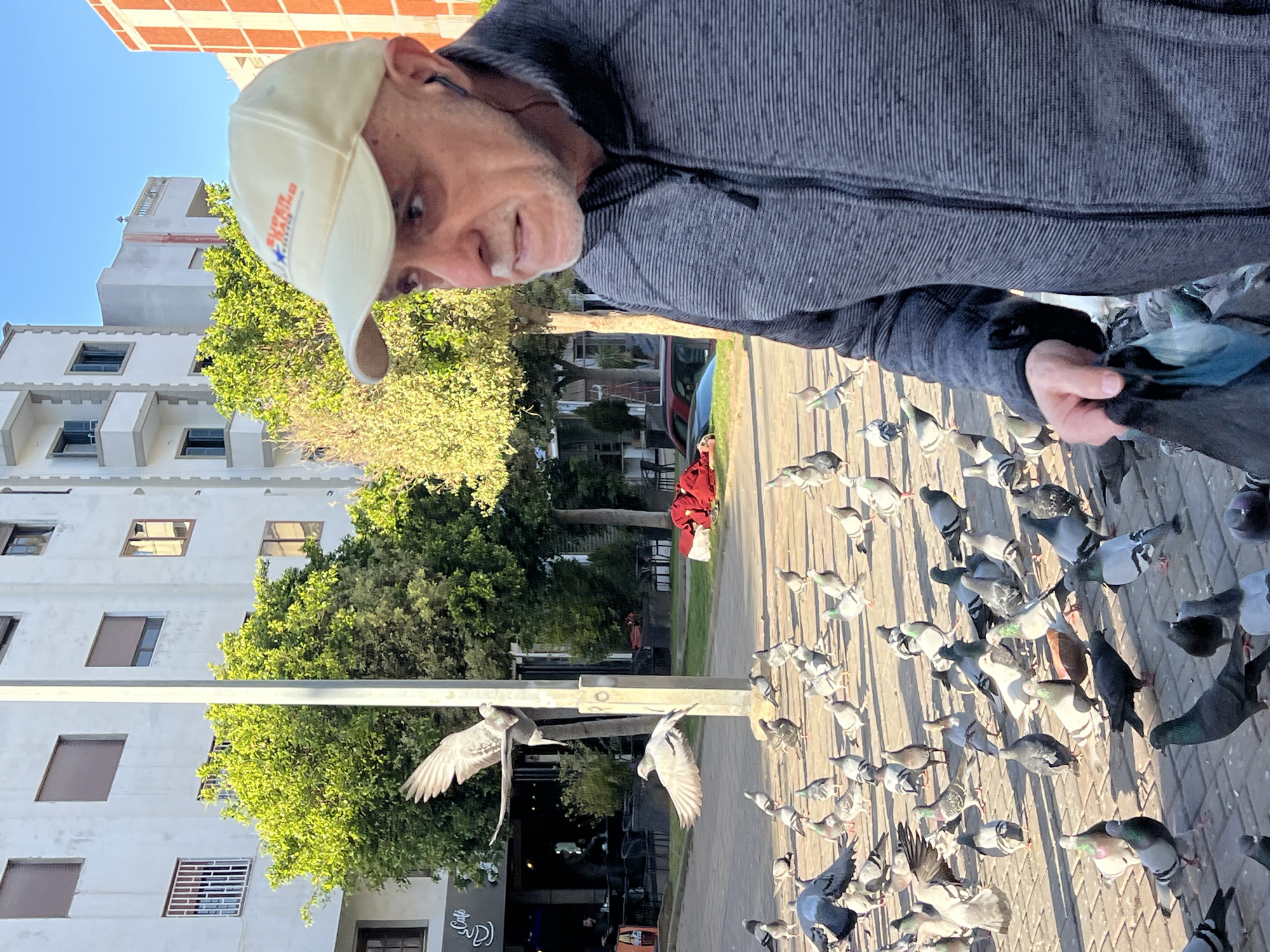The image depicts an outdoor urban scene in Tanger, Morocco, focused on an adult male interacting with a large flock of pigeons on a paved surface. In the foreground, a male, estimated 50-70 years old, with a short grey beard, wearing a light beige baseball cap with a "SUPER RACING CLASSIC" logo, a grey horizontally striped zip-up jacket, and a black earbud in his right ear, stands in profile, gazing to the right. His right hand holds a dark object, from which numerous pigeons (rock doves) are clustered on the grey paver-stone ground, actively feeding or poised to feed. Approximately 50-70 pigeons, primarily grey with iridescent neck feathers, occupy the foreground and midground. Two pigeons are captured in mid-flight near a tall, rectangular grey light pole positioned centrally in the midground. Behind the feeding area, a public green space with trees and grass is visible, partially obscuring a red vehicle. In the background, multi-story buildings line the street; the most prominent building on the left is white with multiple windows, some featuring brown roll-down shutters and white security grates. A "Café" sign with a stylized coffee cup is visible on the ground floor of this building, with blurred human figures seated at outdoor tables. The scene is illuminated by bright, natural sunlight, casting discernible shadows, indicative of a clear day.
