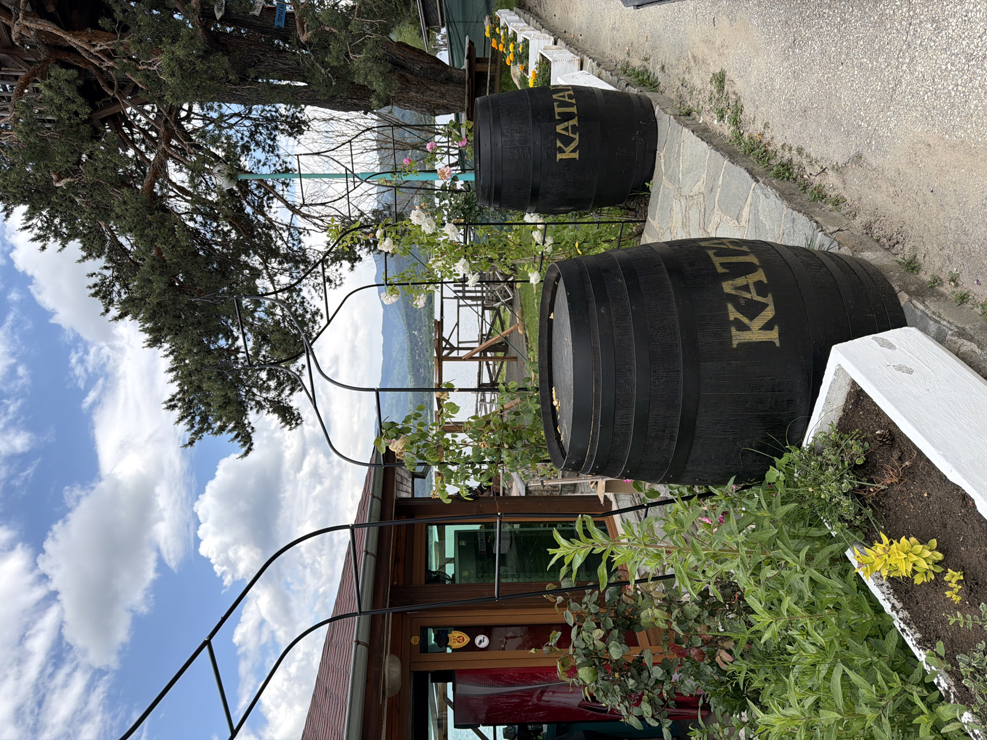 This detailed description pertains to an outdoor scene in Цигов чарк, Bulgaria.
The image captures a resort-like or recreational area under a partly cloudy blue sky. In the foreground, a light-colored dirt and gravel path occupies the right side, bordered by a stone curb. Along this curb, several white rectangular planters contain various green plants and yellow flowers. Two black wooden barrels, prominently labeled "KATA" in gold capital letters, are positioned as decorative elements along the path, with roses and other greenery growing around them and up black metal arbors.
To the left of the barrels, a one-story building with a red tiled roof and wooden walls is visible. It features multiple glass doors and windows, reflecting the sky and surrounding environment. A red Coca-Cola refrigerator is visible through one of the glass panels, and a crest-shaped emblem in yellow and red is affixed to one of the doors.
In the midground, a large body of water, likely a lake, extends towards the horizon, where distant mountains are visible under the cloud-strewn sky. Wooden tables and benches are arranged near the water's edge.
On the far right, a large, mature tree with extensive green foliage stands. A wooden structure, resembling a treehouse or platform, is integrated into its branches. Multiple directional signs are attached to the tree; one partially visible sign reads "CHELE" and another appears to say "ПОМАГАЧ" (POMAGACH). A tall, slender light pole with a spherical fixture is situated beneath the tree's canopy. No individuals are present in the scene.