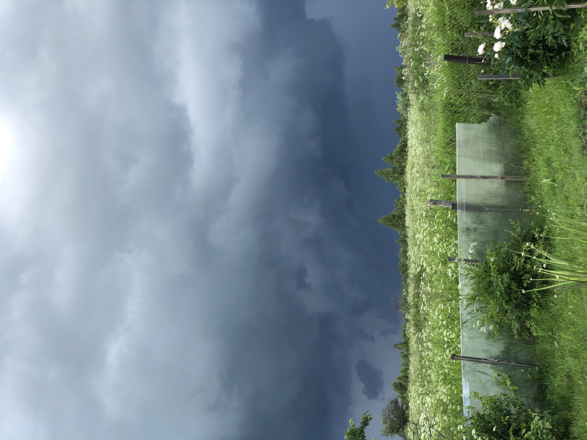 The image depicts a rural landscape with a dramatic sky. Dark, heavy storm clouds dominate the upper portion of the frame, contrasting with a bright, lighter area in the upper right corner, possibly indicating sunlight breaking through. Below the clouds, a vast field of green grass and numerous small white wildflowers stretches towards a line of trees in the distance. In the foreground, a section of a field is covered with a translucent green material, possibly plastic sheeting, supported by wooden stakes. There are also some green bushes and a patch of white flowers on the right side of the image. The scene appears to be located in a rural area outside of Zhukovo, Russia, given the characteristic vegetation and atmospheric conditions often seen in such regions prior to or during a storm. No people or animals are visible in the image.