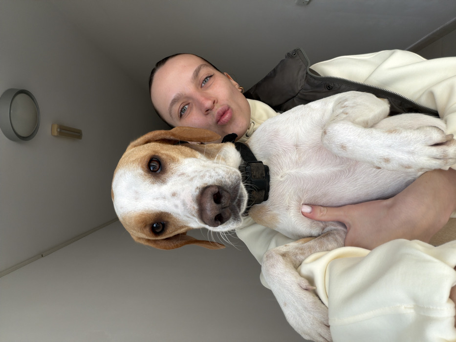 The image displays a close-up portrait of a woman holding a dog in an indoor setting. The dog is a medium-sized breed, predominantly white with tan and brown patches on its head, ears, and sparse spots on its body. It possesses dark eyes, a dark nose, and wears a black collar fitted with a rectangular electronic device. The dog is positioned centrally, looking directly forward. The woman is partially visible behind the dog, supporting it with both hands, her left hand prominently displayed. She has light skin, blue eyes, and her hair is pulled back. Her lips are puckered in a "kiss" pose. She wears a small gold hoop earring in her visible right ear, a light-colored long-sleeved garment, and a dark brown or olive green puffer vest over it. The background consists of a plain, light-colored wall and ceiling. A round, flush-mount ceiling light fixture and a smaller rectangular fixture are visible on the ceiling. The specific location within Budva, Montenegro, is not discernible from the provided visual information.