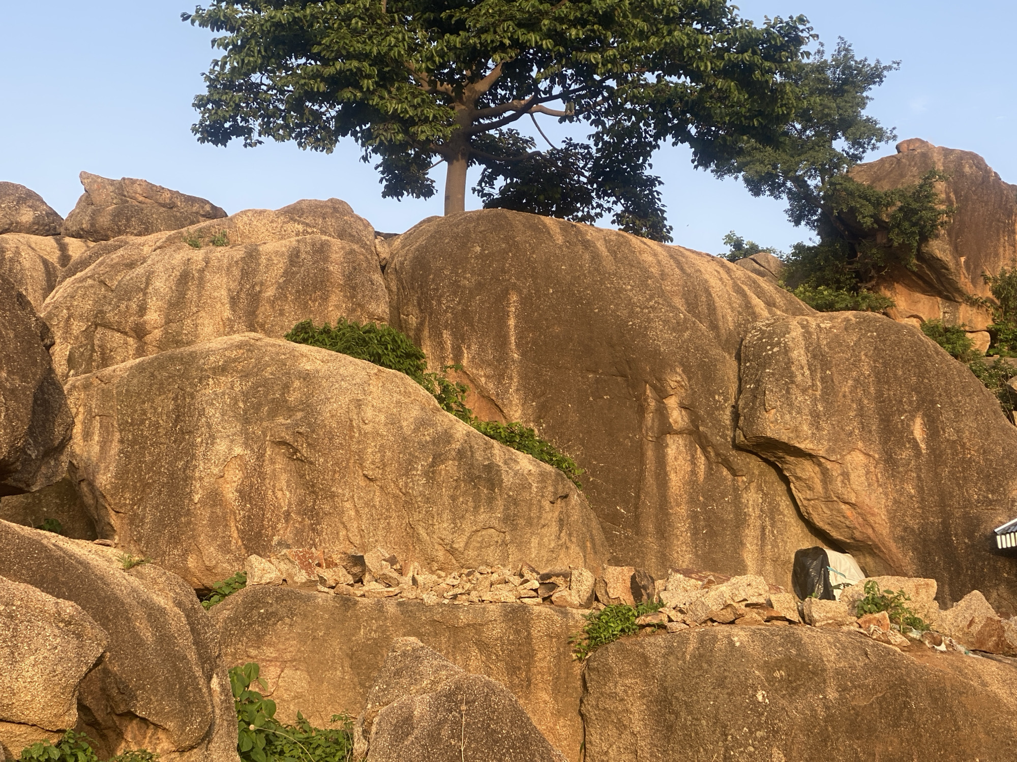 The image depicts a rocky landscape with a tree on top of the rocks. The rocks are large, tan, and weathered. There are some small green plants growing on the rocks. At least one black plastic bag and a white material are present amidst the rocks. The location is potentially Jos, Nigeria, judging by the characteristic rock formations found in that area.