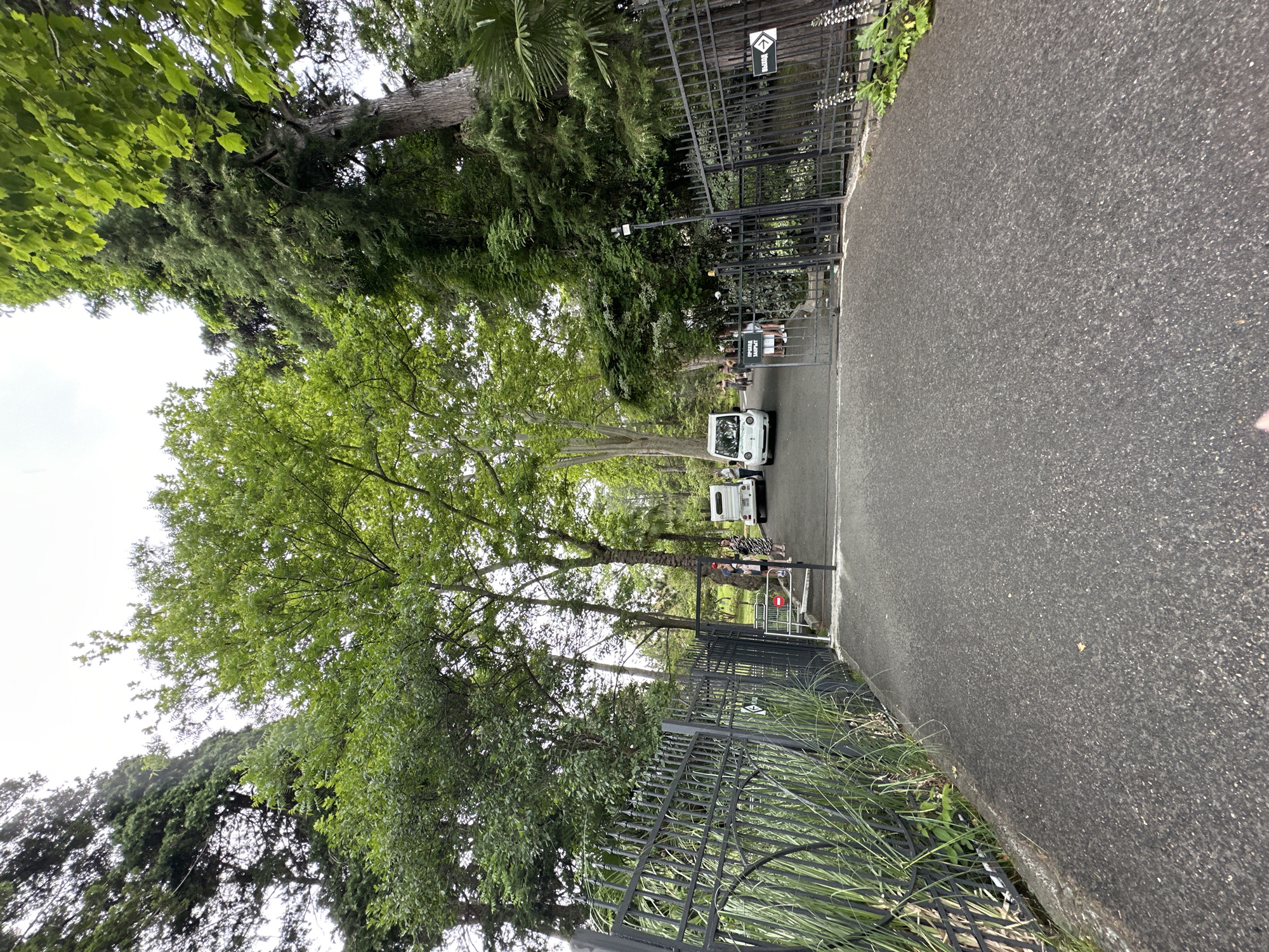 The image depicts a gated entrance to a park or botanical garden, likely located in Sochi, Russia, given the lush vegetation and palm trees. Two small white electric vehicles are parked just inside the gate. A few people are visible near the gate, some standing and interacting, while others appear to be seated in or around the vehicles.
The scene is characterized by abundant greenery; tall trees with dense foliage dominate the background, interspersed with palm fronds. A black metal fence runs along the left and bottom of the image, separating the paved pathway from the park's interior. The pathway itself is asphalt and extends to the right, suggesting it is a main route. The lighting indicates it is daytime, with the sky appearing overcast or hazy.
Visible text on a sign attached to the gate reads "ВЫХОД" which translates to "EXIT" in Russian, with an arrow pointing upwards and to the right, indicating the direction of the exit. Another sign closer to the ground also has Russian text, though it is partially obscured. The overall impression is that of a tranquil, green environment, likely a public space designed for relaxation and recreation. The presence of electric vehicles suggests an emphasis on eco-friendliness or a specific type of transport within the grounds.