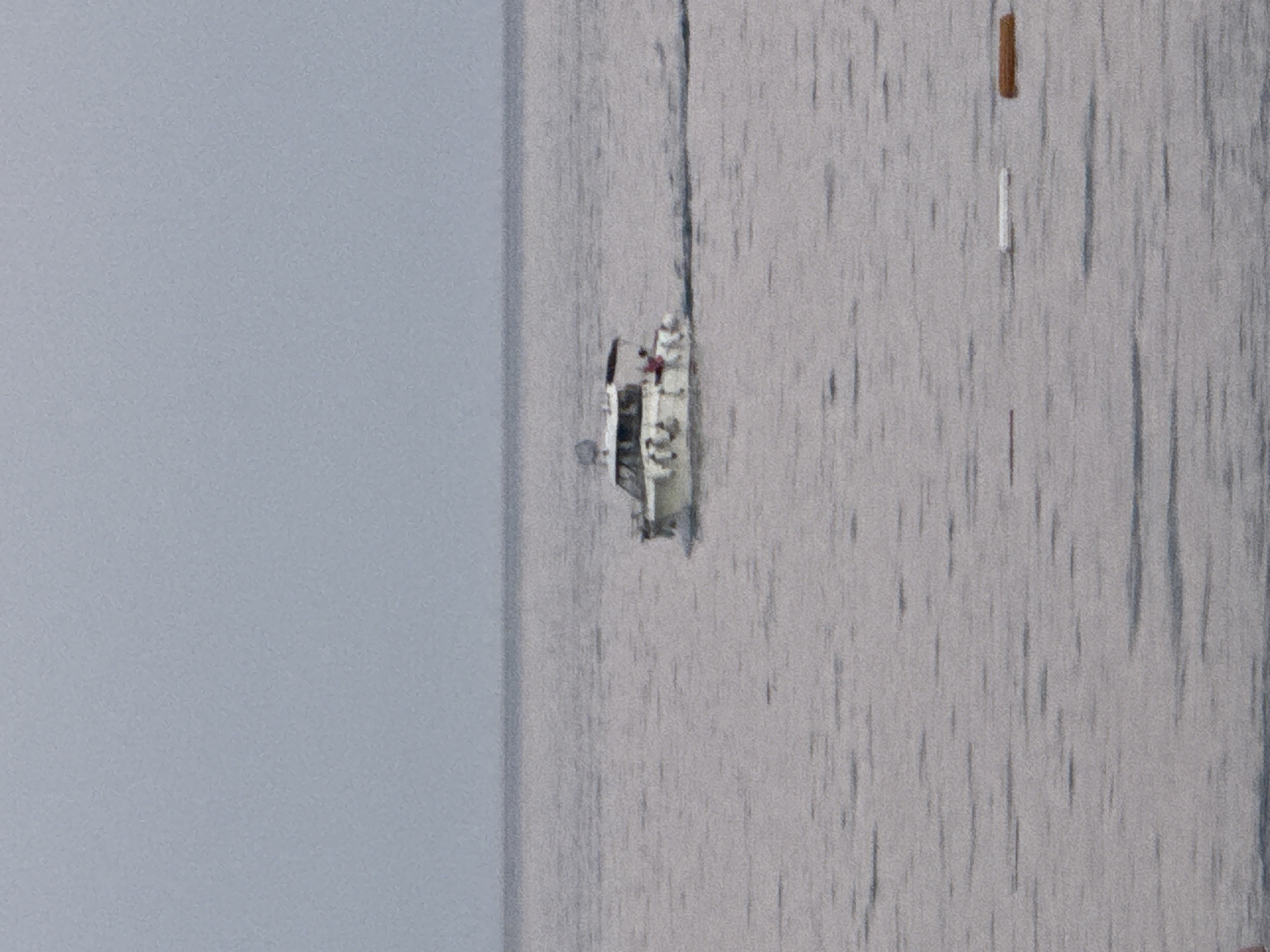 A motorboat with a white cabin is traveling through calm, gray water under an overcast sky. The boat, which appears to be white, has several people visible on its deck. The boat is leaving a visible wake behind it. In the foreground, there are a few floating objects, one white and one brown, on the water's surface. The scene is likely Bečići, Montenegro, given the context.