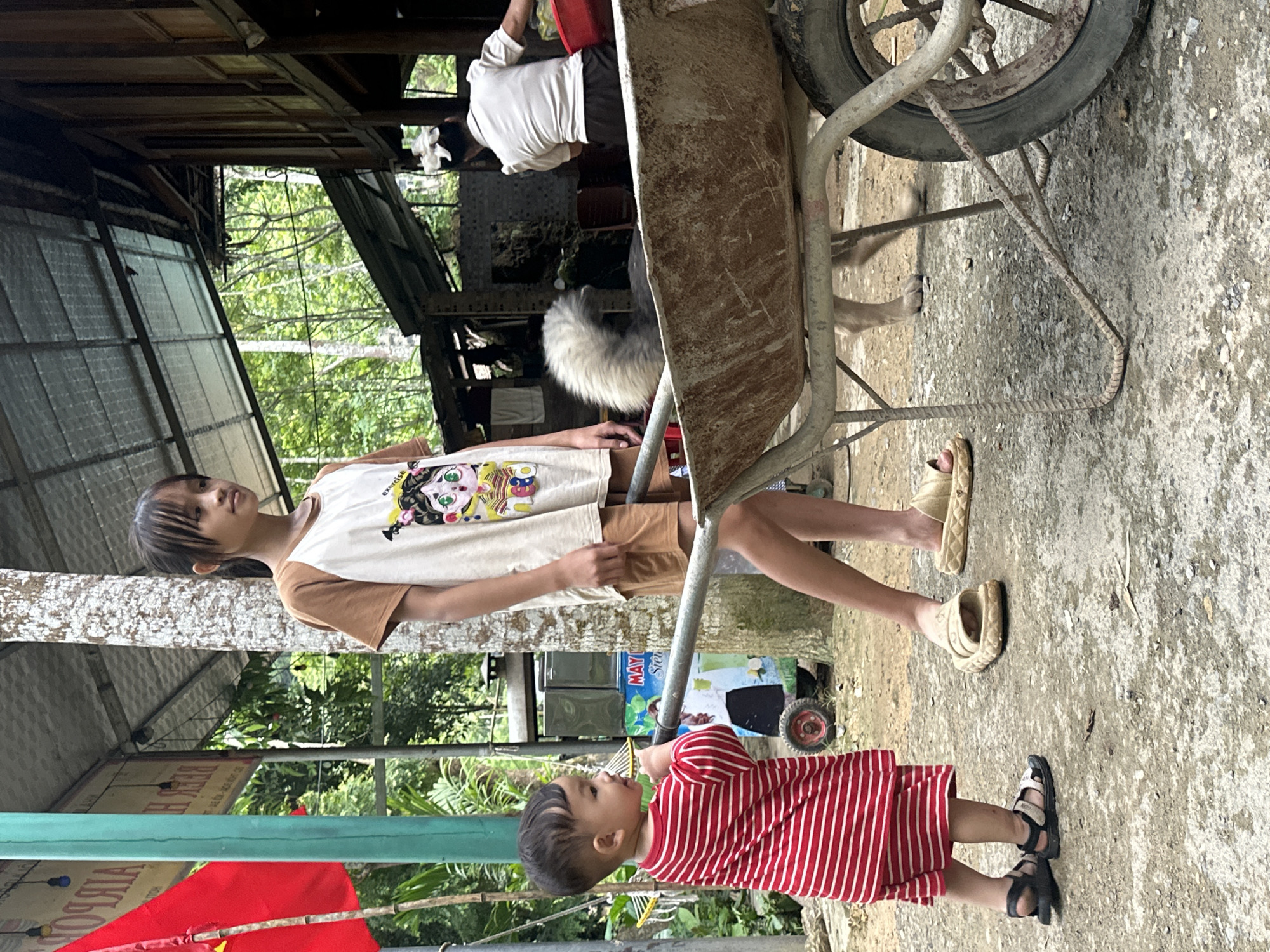 In Cổ Lũng Commune, Vietnam, a young boy in a red and white striped shirt stands near a large wheelbarrow, holding its handles. Beside him, a teenage girl wearing a tan and white graphic t-shirt and tan shorts stands with her hands behind her back. A fluffy dog with a grey and white coat is partially visible in the wheelbarrow, with its hind legs reaching out. In the background, a woman in a white shirt and dark pants is working near a rustic wooden building with a metal roof. The environment appears to be an outdoor, possibly rural setting with lush greenery and trees visible. A red flag is mounted on a bamboo pole to the left of the frame. The ground is a mixture of dirt and gravel.