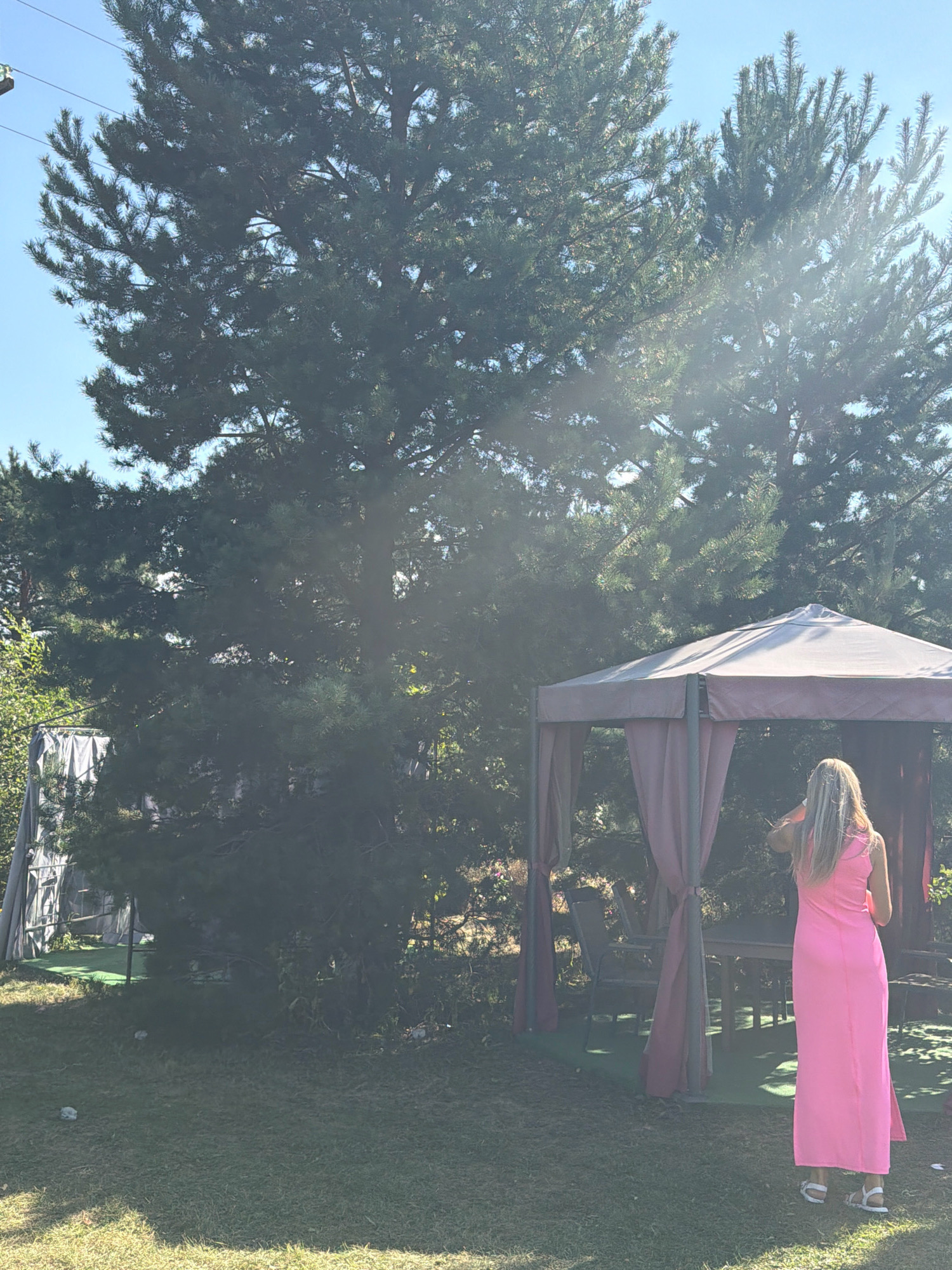 In Malaya Tsarevschina, Russia, a woman with blonde hair, wearing a bright pink sleeveless maxi dress and white sandals, stands with her back to the camera in a grassy outdoor area. She is positioned to the right of a brown gazebo with draped curtains, facing towards it. Inside the gazebo, a table and chairs are visible. Towering pine trees dominate the background, with a clear blue sky visible above. The sun casts a lens flare effect across the scene, suggesting it is daytime and sunny. To the left, a portion of a white tent or enclosure can be seen. The ground is covered in green grass, with some scattered white objects that could be stones or debris.