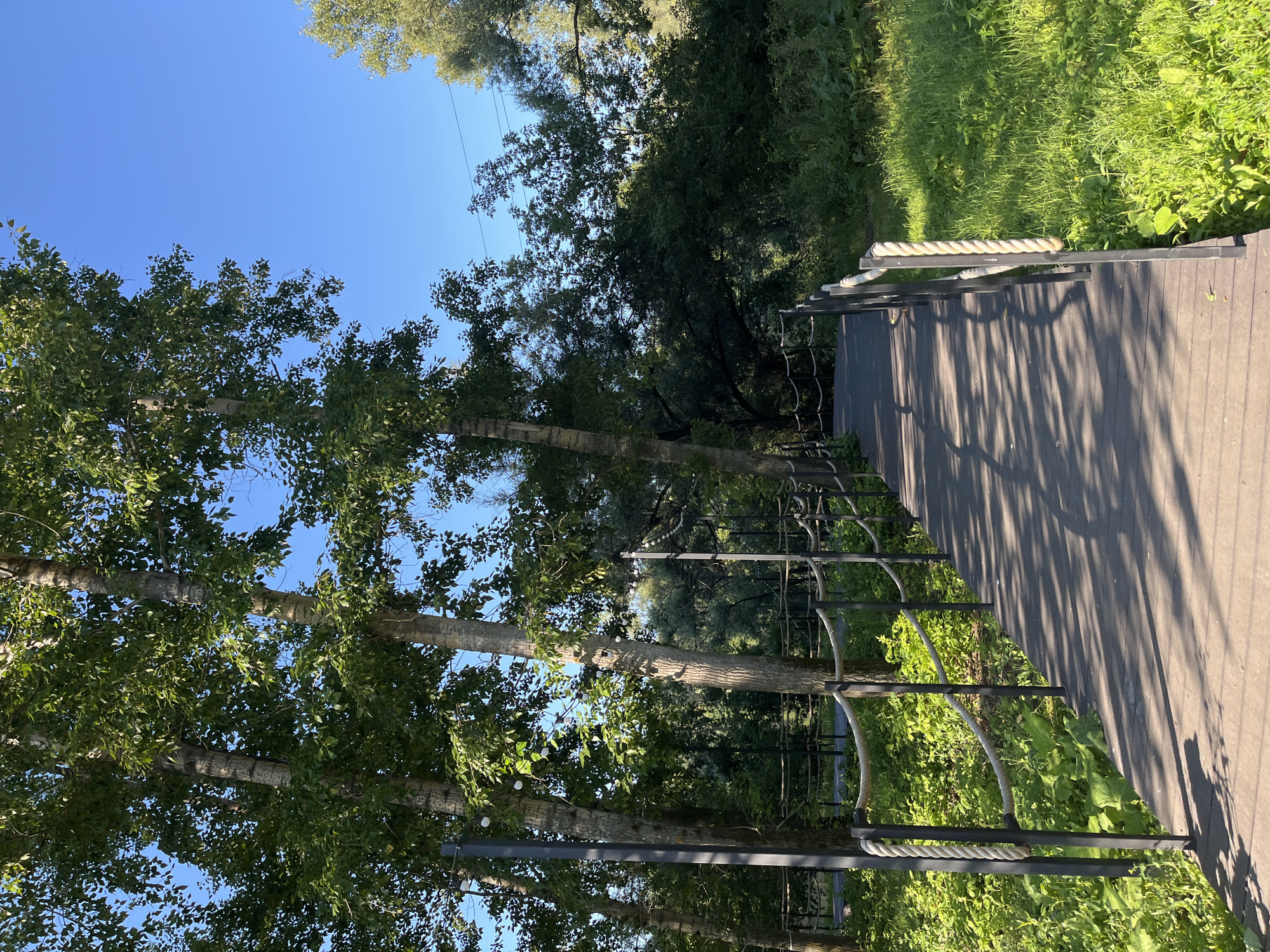 A wooden boardwalk winds through a park under a clear blue sky, bordered by lush green foliage and tall trees. The boardwalk, constructed of dark wood planks, is lined with black metal posts supporting thick rope railings. Sunlight filters through the leaves of the trees, casting dappled shadows across the walkway. The surrounding vegetation is dense and vibrant, with various shades of green leaves and grasses. In the background, more trees form a thick canopy, creating a sense of depth and enclosure within the park. The scene appears to be a peaceful outdoor setting, possibly a nature trail or a recreational area within the city of Blagoveshchensk, Russia. There are no people or animals visible in the image.