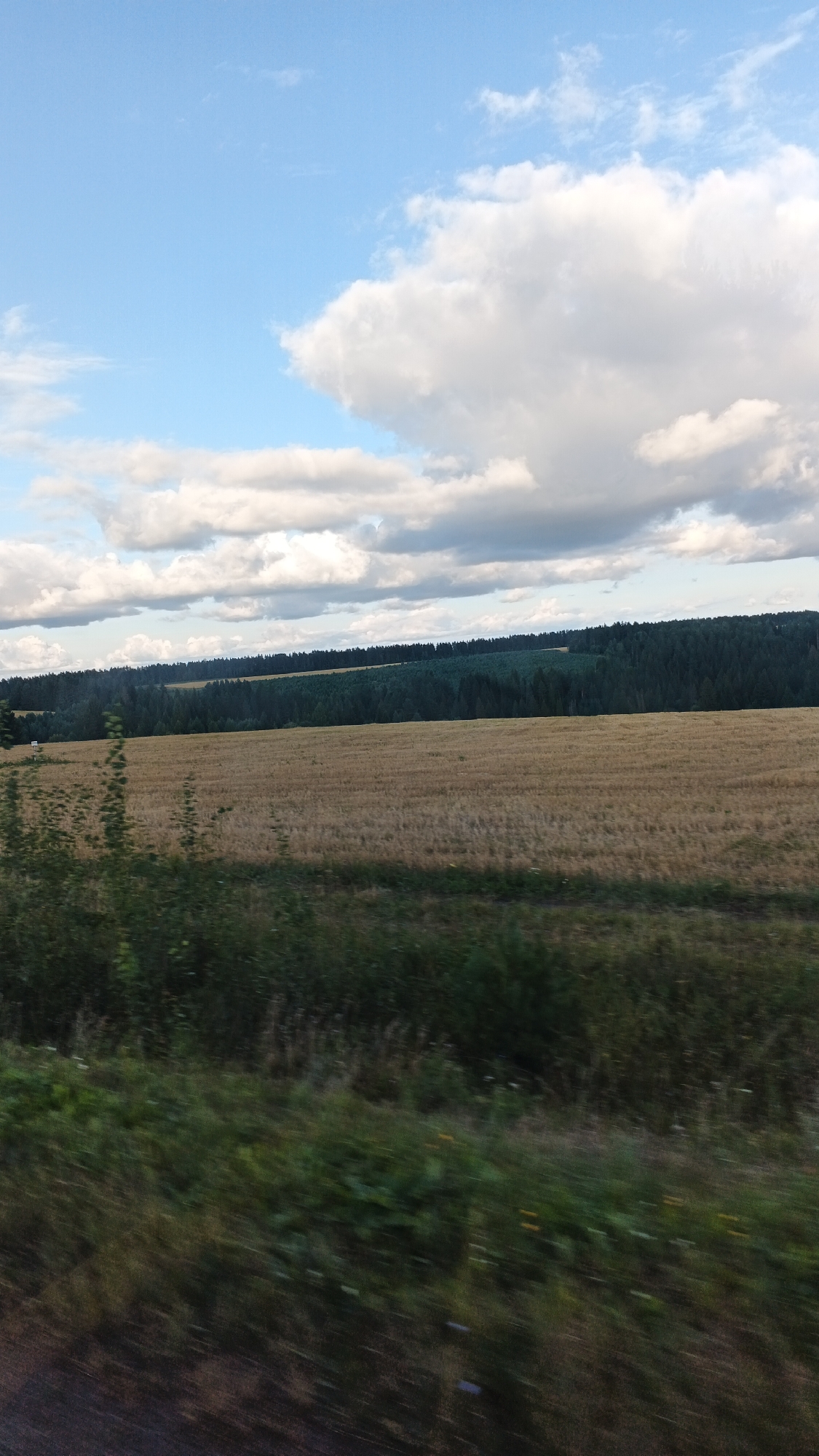The image captures a rural landscape with a vast, golden-brown field stretching towards a dense forest line under a partly cloudy sky. The foreground is blurred due to motion, showing green foliage and a dark, possibly asphalt surface. The field appears to be harvested, with stubble covering the ground. Beyond the field, a dark green forest forms a distinct horizon, with varied terrain suggesting rolling hills or slopes. The sky is a light blue with scattered white and gray clouds, indicating fair weather. The scene is devoid of any human presence or man-made structures, suggesting a remote or natural environment. The location is identified as Buranovo, Russia.