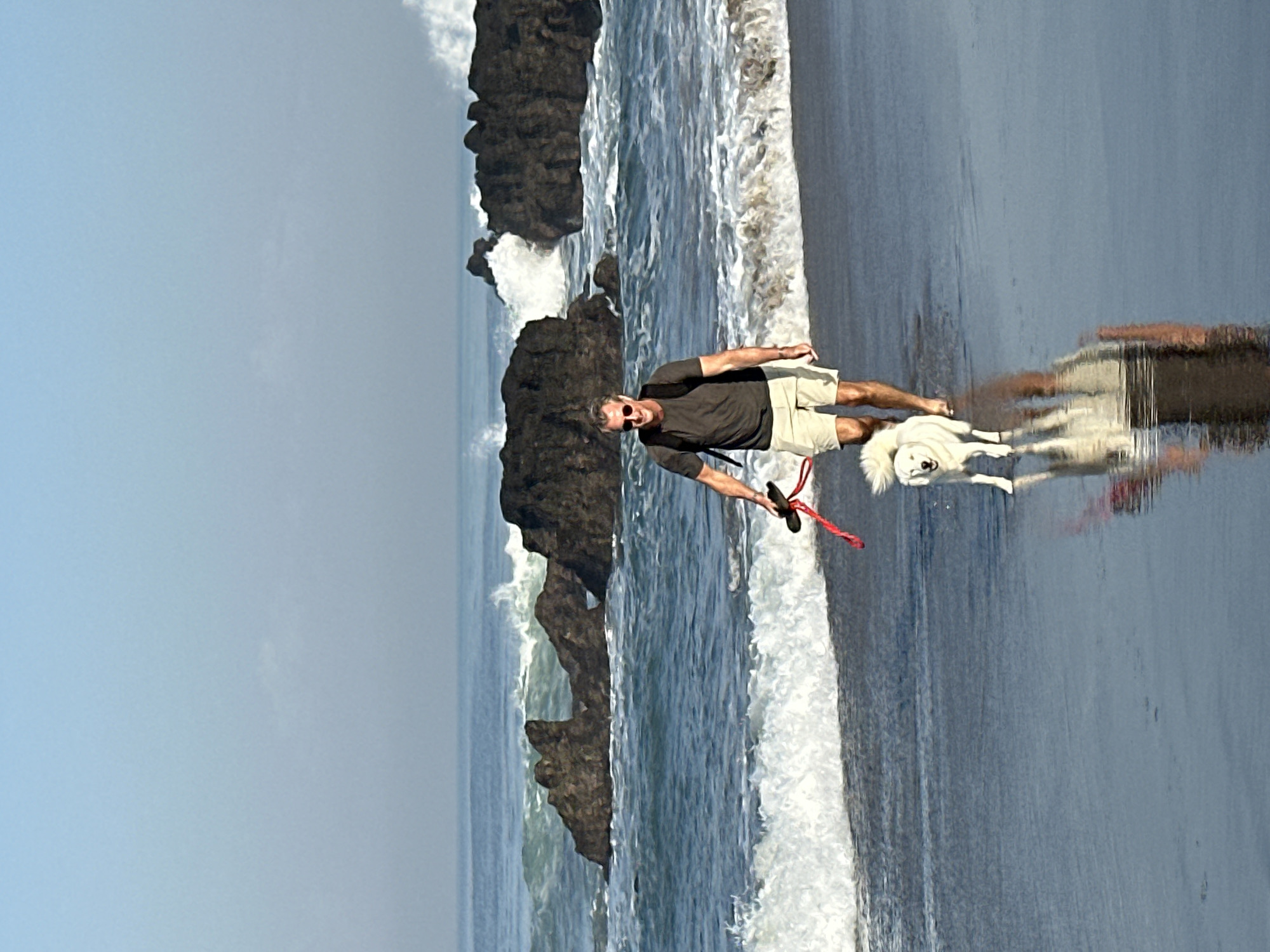A man and his white dog walk along a wet sandy beach in front of a rocky coastline. The man is wearing a grey t-shirt, khaki shorts, sunglasses, and a black backpack. He is holding a red leash attached to the dog's collar. The dog is looking forward, with its tail held high. Waves are crashing against the rocks in the background. The sky is clear and pale blue. The reflection of the man and dog is visible on the wet sand. The scene appears to be in North Kuta, Indonesia.