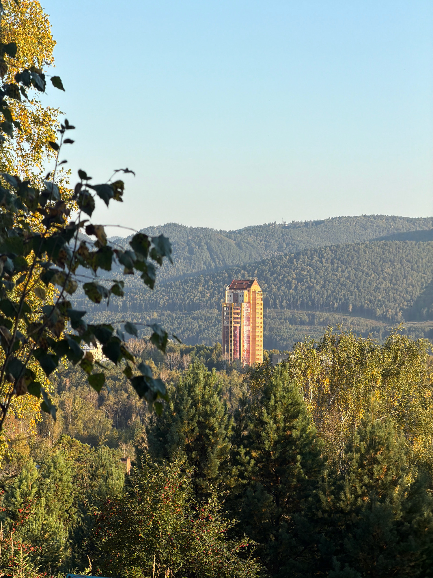 This is a medium shot, eye-level, horizontal, outdoor photograph taken in Krasnoyarsk, Russia. The image depicts a high-rise building with a reddish-orange facade and a peaked roof situated in the distance, surrounded by rolling, tree-covered hills. In the foreground, there are several coniferous trees and deciduous trees displaying autumn foliage in shades of yellow and green. The sky is a clear, pale blue. The lighting suggests it is late afternoon, with the sun casting long shadows. No people are visible in the image. The overall scene conveys a sense of nature and urban development coexisting.