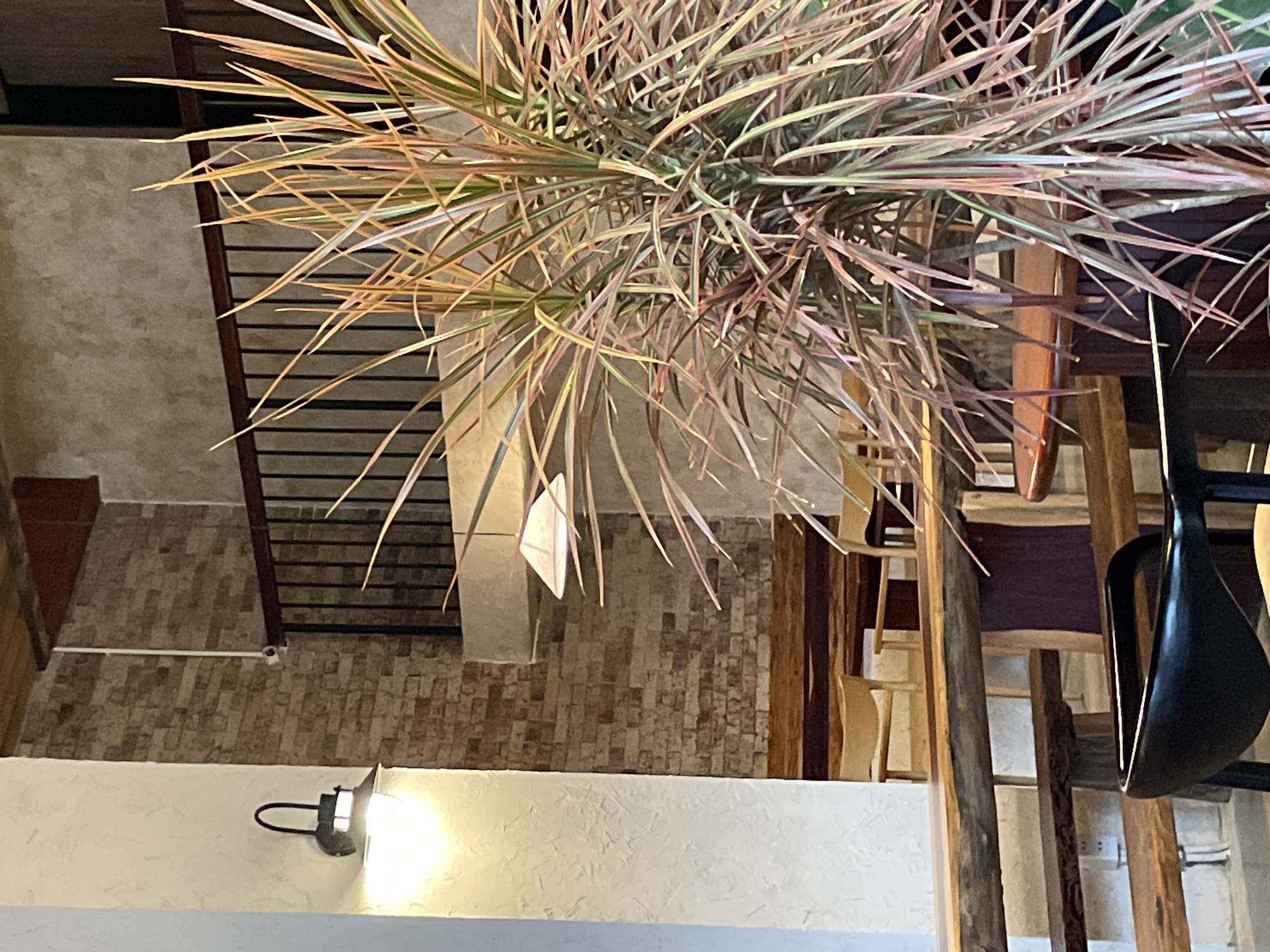 This is an indoor scene, likely a cafe or restaurant, in Da Lat, Vietnam. The foreground is dominated by a lush, spiky potted plant with leaves in shades of green, pink, and yellow. To the left, a white textured pillar supports a black outdoor-style lamp with a glowing bulb. In the mid-ground, there are several wooden tables and benches, suggesting a seating area. The background features a brick wall and a balcony with a black metal railing. Natural light appears to be filtering in, illuminating the space. The overall ambiance is rustic and warm.