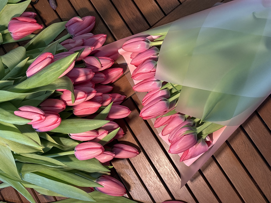 The scene, located in Slavyansk-na-Kubani, Russia, depicts a top-down view of numerous pink tulips arranged on a slatted, reddish-brown wooden surface. No individuals are present.
A large quantity of loose, cut pink tulips with prominent green stems and leaves occupies the upper and left portions of the frame. Their blossoms are primarily closed or partially open, displaying a consistent vibrant pink hue with subtle purple undertones on some petals.
In the lower right section of the image, two distinct bouquets of similar pink tulips are visible. Each bouquet is individually wrapped in translucent paper: one in a light pink or peach-colored material, and the other in a light green or blue-tinted material, obscuring the lower stems.
The wooden surface features parallel slats running diagonally from the top-left to the bottom-right, exhibiting a visible wood grain pattern. The scene is evenly lit, with subtle shadows cast by the tulips.