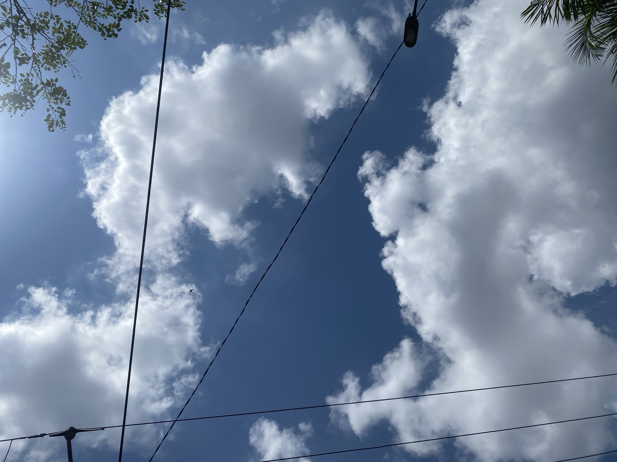The image shows a view of the sky with clouds, power lines, a street lamp, and foliage from trees in Banjarmasin, Indonesia. The sky is blue and dotted with fluffy white clouds. Several black power lines crisscross the frame. A street lamp is visible on the right side of the image. In the upper right corner, there is a glimpse of green leaves and branches of a tree. The perspective suggests looking upwards from a low vantage point. There are no people or animals clearly visible in the scene.