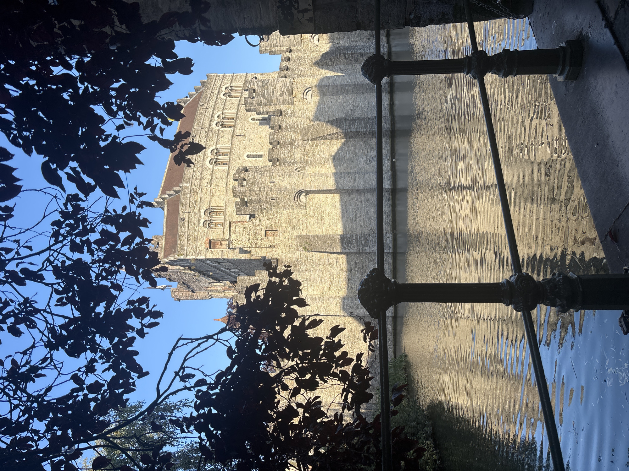 The image captures a sunny day at the Gravensteen Castle in Ghent, Belgium. The imposing stone fortress is partially obscured by the dark silhouettes of tree branches and leaves in the foreground. A body of water, likely a moat or canal, reflects the castle and the sky. Ornate black metal railings and posts run along the edge of the walkway in the foreground, separating the viewer from the water. The castle, constructed from light-colored stone, features crenellated battlements, arched windows, and turrets. Shadows cast by the battlements stretch across the castle walls. The sky is a clear, bright blue. No people are visible in the scene. The overall impression is one of historical grandeur and serene natural beauty.
