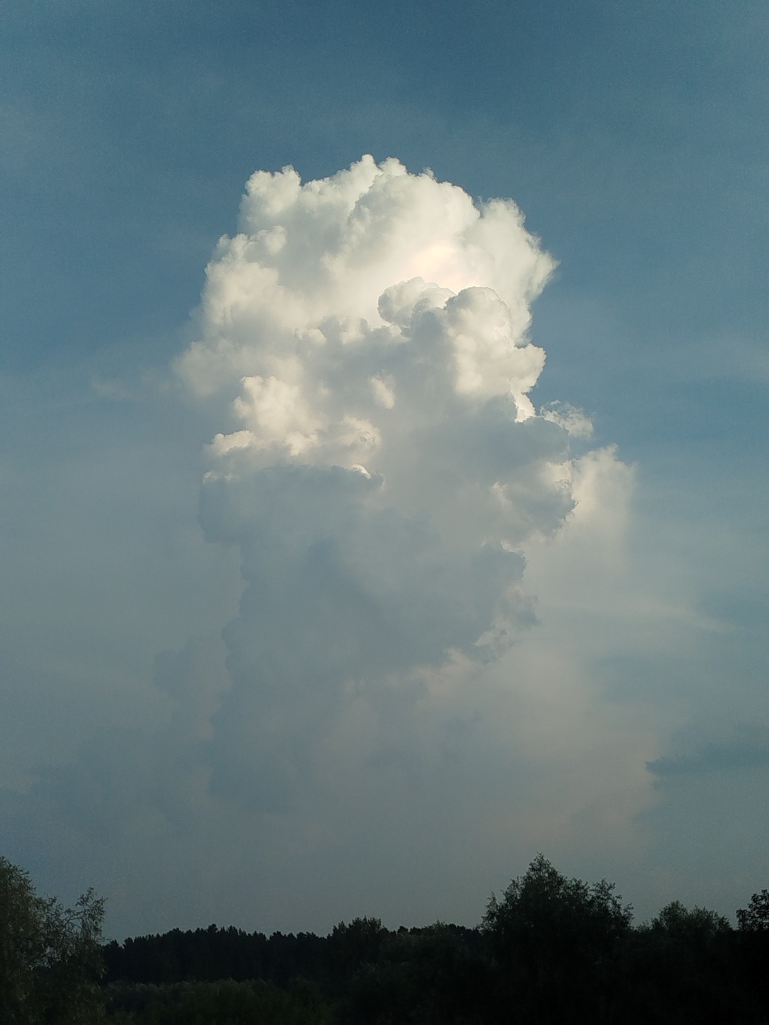 A tall, white cumulus cloud dominates the center of the frame, set against a bright blue sky. The cloud is illuminated from within, with its upper portions appearing bright white and its lower sections fading into a soft gray. A dark, silhouetted line of trees runs across the bottom of the image, with some lighter green foliage visible in the foreground. The scene appears to be a natural landscape, possibly in Zavodoukovsk, Russia, given the context. There are no people or man-made structures clearly visible.