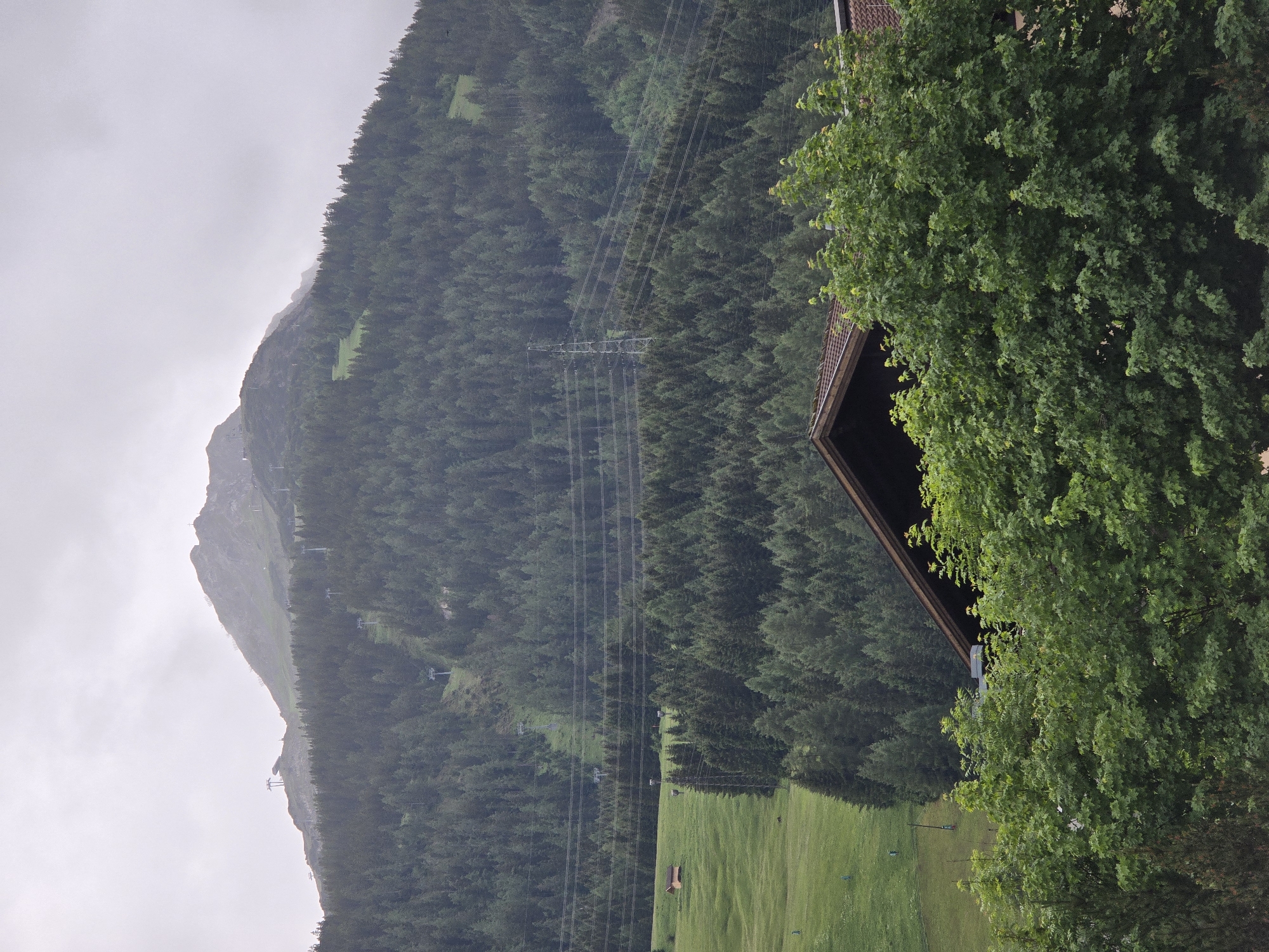 The image depicts a mountainous landscape under a cloudy sky, likely in or near Lermoos, Austria, given the characteristic ski lifts visible on the upper slopes. A dense forest of evergreen trees covers the mid-section of the mountain. In the foreground, lush green trees partially obscure a wooden-roofed building. A vast green meadow stretches across the left side of the frame, dotted with some small objects and a solitary orange-colored structure that could be a small shed or hut. Power lines are strung across the scene, supported by pylons, indicating human infrastructure within the natural environment. The overall impression is one of a tranquil, rural setting within a mountainous region.