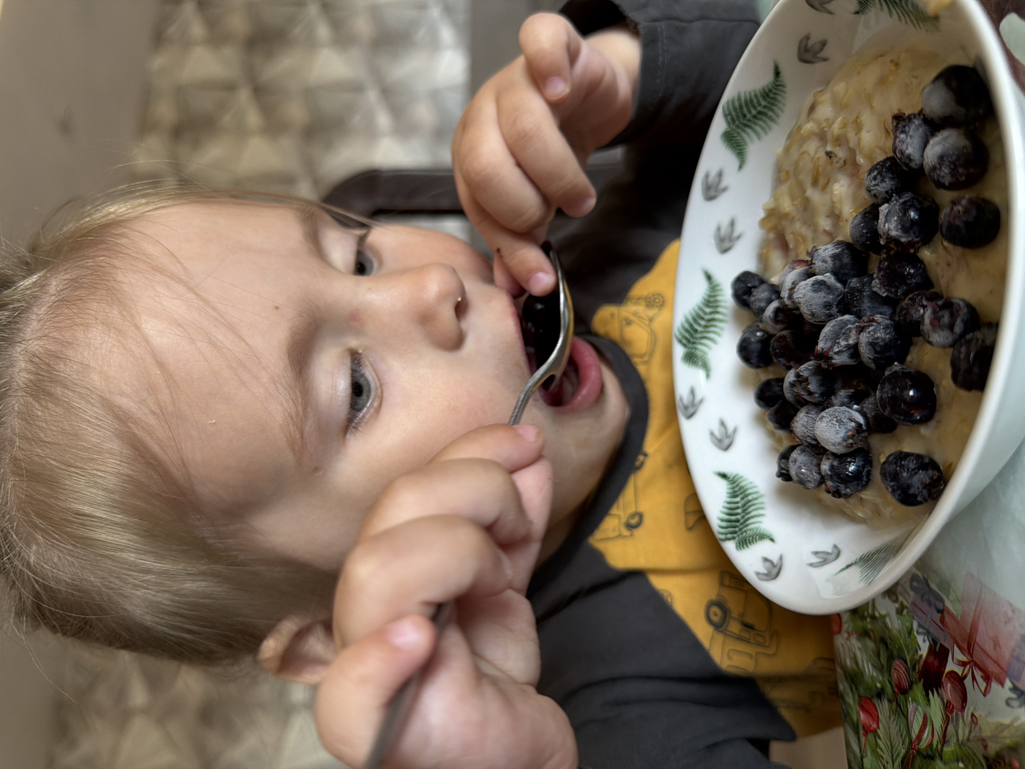 A child is eating oatmeal with blueberries from a patterned bowl. The child is wearing a long-sleeved shirt with a yellow pattern and gray sleeves. The bowl has green fern and bird-like designs. The child is holding a silver spoon and bringing it to their mouth. The setting appears to be indoors, possibly in a home. There is no specific evidence to place the location in Chaikovsky, Russia.