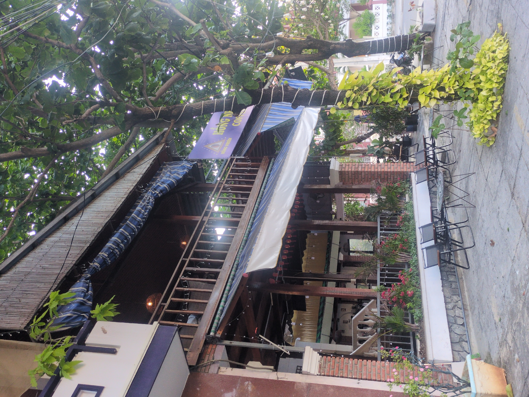 The image depicts a street-level view of an outdoor seating area of a business in Tuy Hòa, Vietnam. The focus is on a multi-tiered structure with a wooden staircase leading to an upper level covered with awnings. A sign with Vietnamese writing is partially visible near the staircase. The structure appears to be built around a large tree. The seating area includes black metal chairs and tables arranged along a stone pavement, with plants and flowers providing decoration. The surrounding buildings are visible in the background, along with some street traffic.