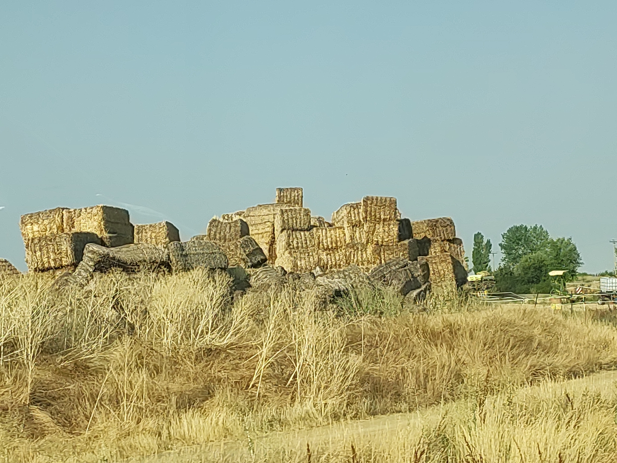 This is a photograph of a large stack of rectangular hay bales in an outdoor, rural environment. The hay bales are golden-brown and appear weathered. They are piled high, creating a somewhat irregular mound. In the foreground, there is dry, tall grass and straw, suggesting a harvest or agricultural setting. In the background, there are a few green trees and some agricultural machinery, including what appears to be a tractor and a trailer. The sky is a clear, pale blue. The location is described as Abarca de Campos, Spain. There are no people visible in the image. The overall impression is one of agricultural storage or preparation for winter.