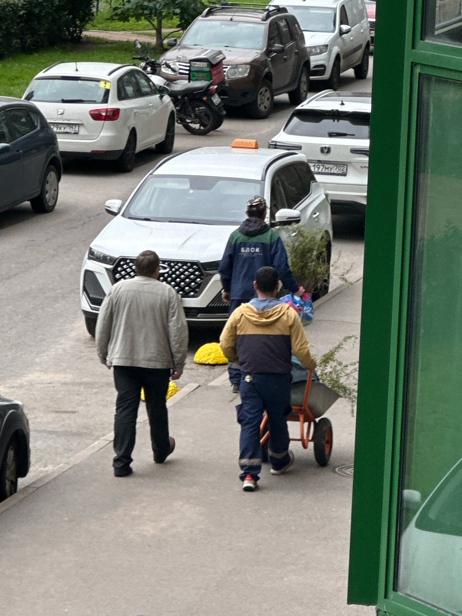 In Murino, Russia, on a cloudy day, two men are walking on a sidewalk. The man on the left, wearing a light-colored jacket and dark pants, walks away from the camera. The man on the right, wearing a yellow and dark blue hooded jacket and dark pants, pushes a wheelbarrow filled with green plants. Behind them, a white car with a yellow taxi sign is parked. Other cars are visible in the background. The scene takes place on a paved street with trees and bushes lining the side.