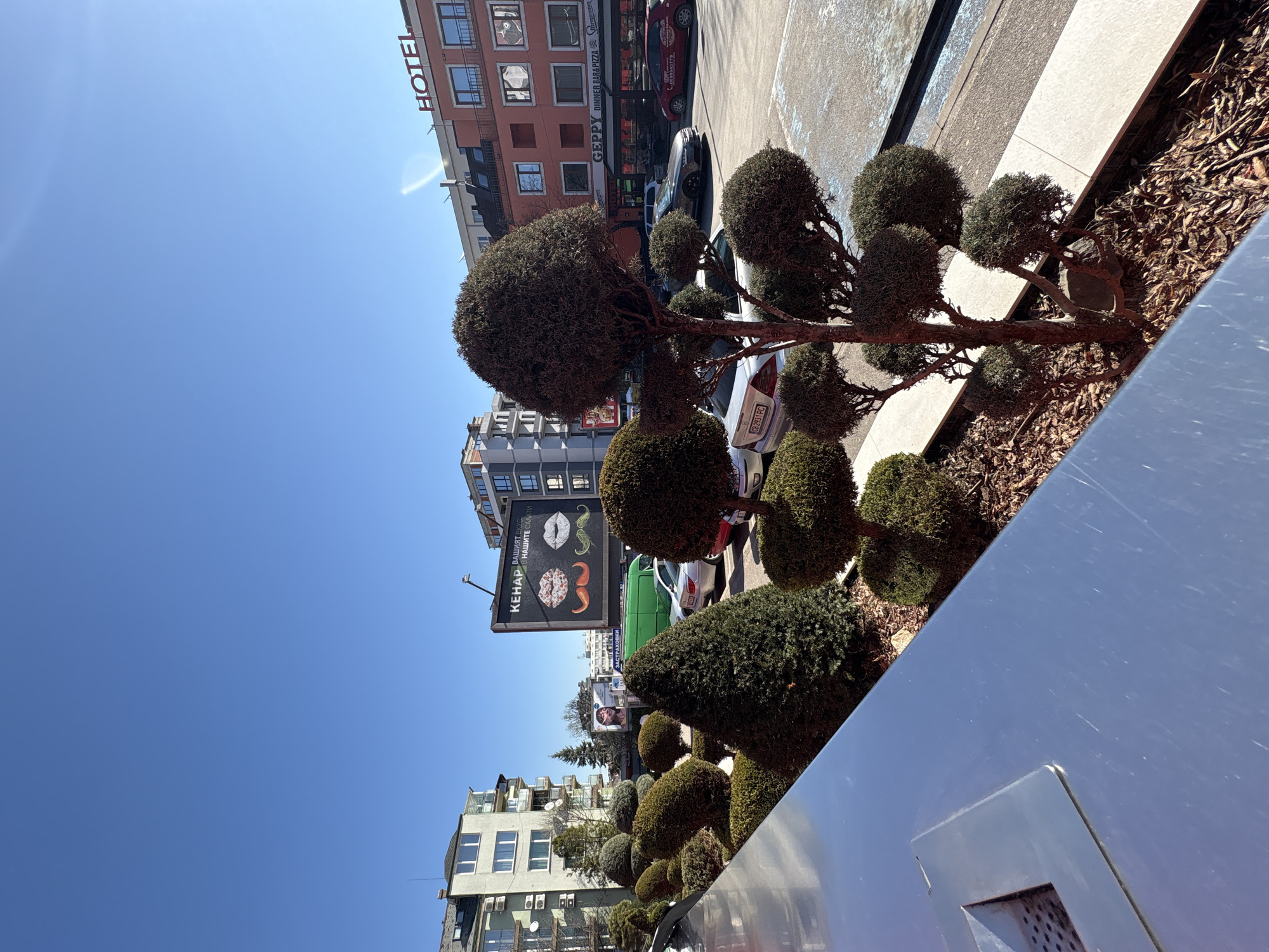 The image depicts a street scene in Sofia, Bulgaria, on a sunny day. In the foreground, there's a landscaped planter box with meticulously manicured, round-shaped bushes and a modern metal structure with square holes. In the background are multiple buildings, including one labeled "HOTEL" in red capital letters, another labeled "GEPPY DINNER BAR & PIZZA," and a billboard advertising "KEHAP" (likely a typo for KEBAP). Cars are visible parked along the street. The sky is clear and blue.