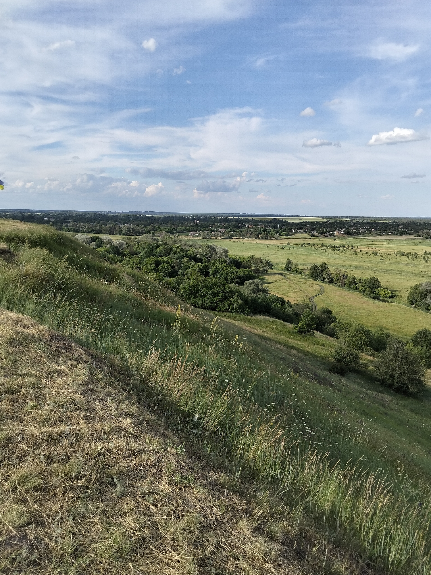 The image is a landscape photograph taken from a high vantage point overlooking a valley. The foreground features a grassy slope with dry and green vegetation, indicating a transition in seasons or terrain. The middle ground reveals a lush green valley with scattered trees and a winding path. In the background, a village or town is visible, with houses nestled among trees, and beyond that, a flat horizon under a sky with scattered clouds. A small Ukrainian flag is visible on the left side of the frame. The scene appears to be a rural area in the vicinity of Ustyvytsia, Ukraine, likely captured on a sunny day with moderate cloud cover.