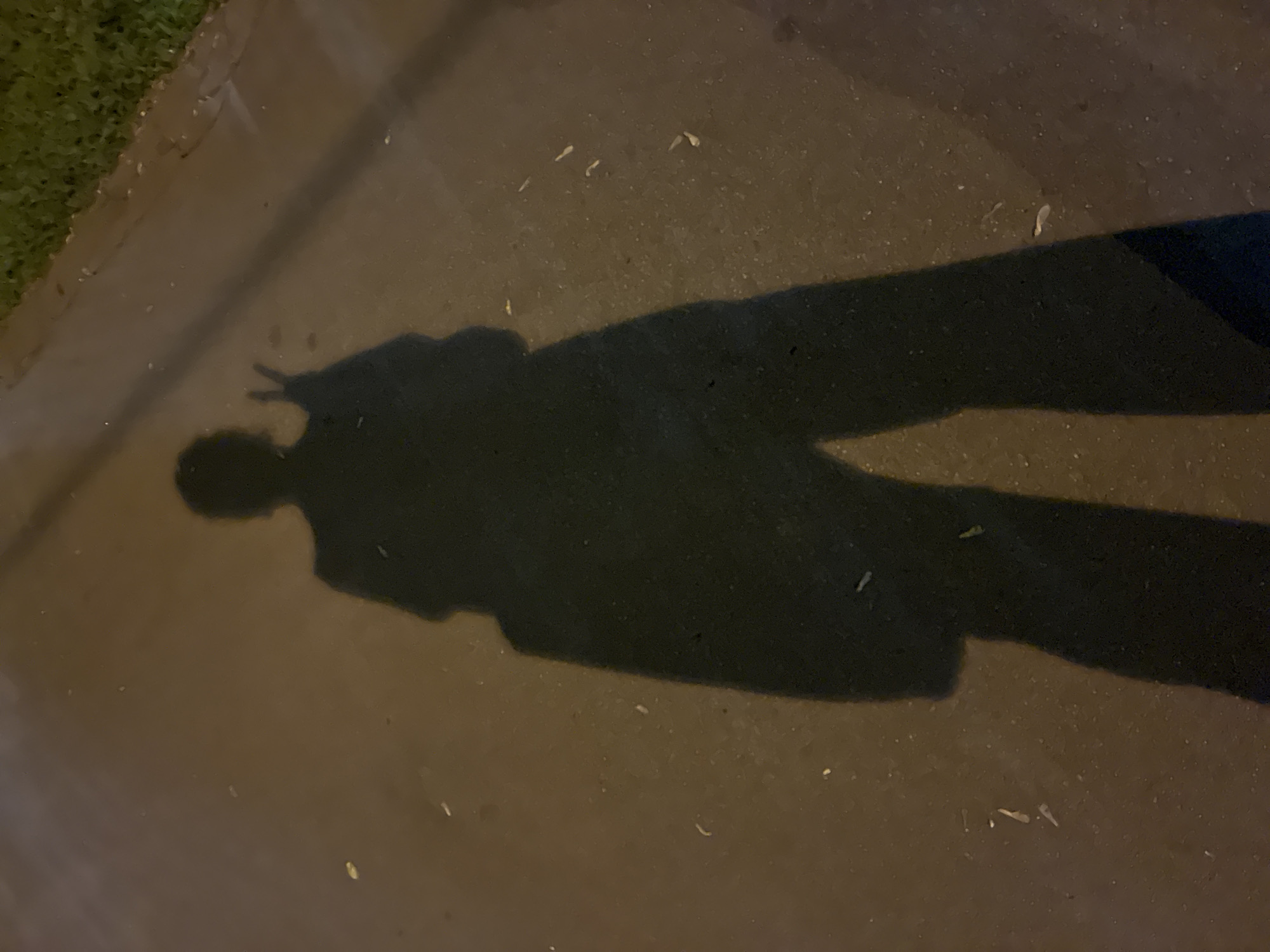 The image shows the shadow of a person on a paved surface. The person is gesturing with their hand. There is grass in the upper left corner. The paved surface is possibly a sidewalk or street. Small debris or litter is scattered on the ground. There is no information to specify the location in Moscow, Russia.