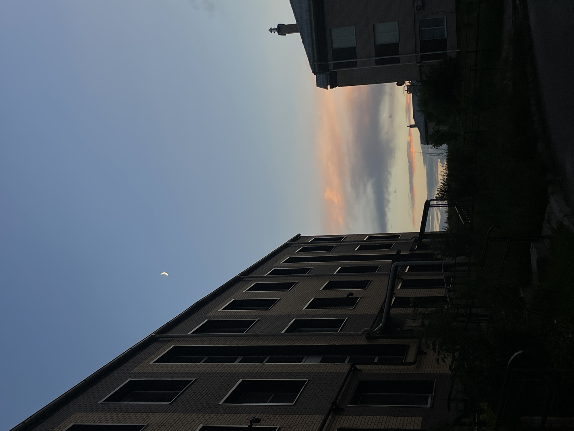 A crescent moon hangs in a clear, pale blue sky over the city of Zverevo, Russia. The sky transitions to soft hues of pink and orange near the horizon, indicating either sunrise or sunset. Two multi-story buildings dominate the foreground. On the left, a brick building with dark, rectangular windows is angled towards the viewer. Its facade is lit by the twilight, revealing a textured brick pattern. Pipes are visible running along the exterior of this building. To the right, another building with a sloped roof and a chimney is partially visible. Its windows are also dark. In the lower portion of the image, dense, dark foliage and shadows obscure the ground and the lower levels of the buildings, suggesting it is either early morning or late evening. The overall scene is quiet and still, with no people or active events apparent.