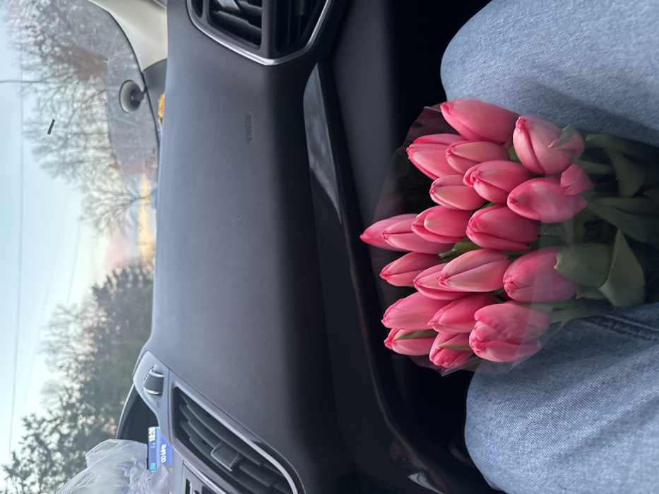 An interior shot from the front passenger seat of a vehicle depicts a bouquet of approximately 20-25 closed pink tulips resting on the lap of an individual. The individual's thighs, clad in light blue denim jeans, occupy the lower portion of the frame, supporting the tulips which are wrapped in dark, possibly transparent, material. The vehicle's dark gray dashboard is prominent, featuring air vents on both the left and right sides. On the left side, a digital display shows "18:20" and "00 MHz," and a clear plastic bag is positioned on the dashboard nearby. The passenger-side airbag cover is visible, marked "AIRBAG." Through the front windshield, an outdoor environment is visible, characterized by a clear sky transitioning from light blue to a soft orange/pink hue at the horizon, indicative of a late afternoon or early evening. Bare deciduous trees and some evergreen foliage are present in the background. A small black rectangular object and a suction cup are affixed to the windshield. The scene is situated within the city of Slavyansk-na-Kubani, Russia.