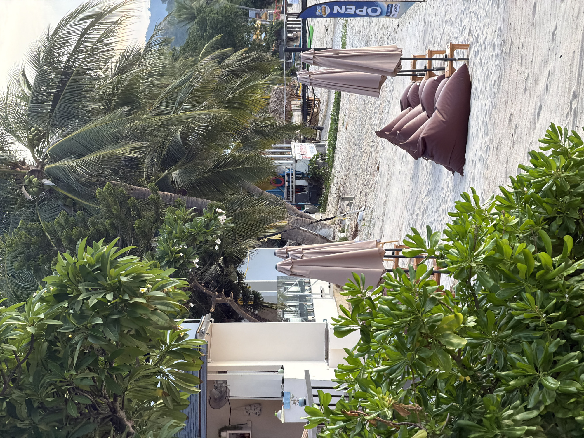 The image depicts a beachfront scene in Baan Bang Rak, Thailand, with a focus on a row of maroon beanbag chairs lined up on a sandy beach. Behind the chairs, several beige beach umbrellas are neatly stacked. To the left of the beanbag chairs, a building with white walls and a dark-tiled roof is visible, featuring an outdoor fan mounted on the wall. Lush green foliage in the foreground partially obscures the view of the building. Towering palm trees, characteristic of tropical locales, dominate the background, with one of them laden with coconuts. In the distance, a gentle slope of a forested hill can be seen, hinting at the natural landscape surrounding the coastal area. A blue sign with the word "OPEN" written in white lettering is positioned to the right of the beanbag chairs, suggesting a commercial establishment nearby. The overall atmosphere is serene and relaxed, typical of a tropical beach resort.