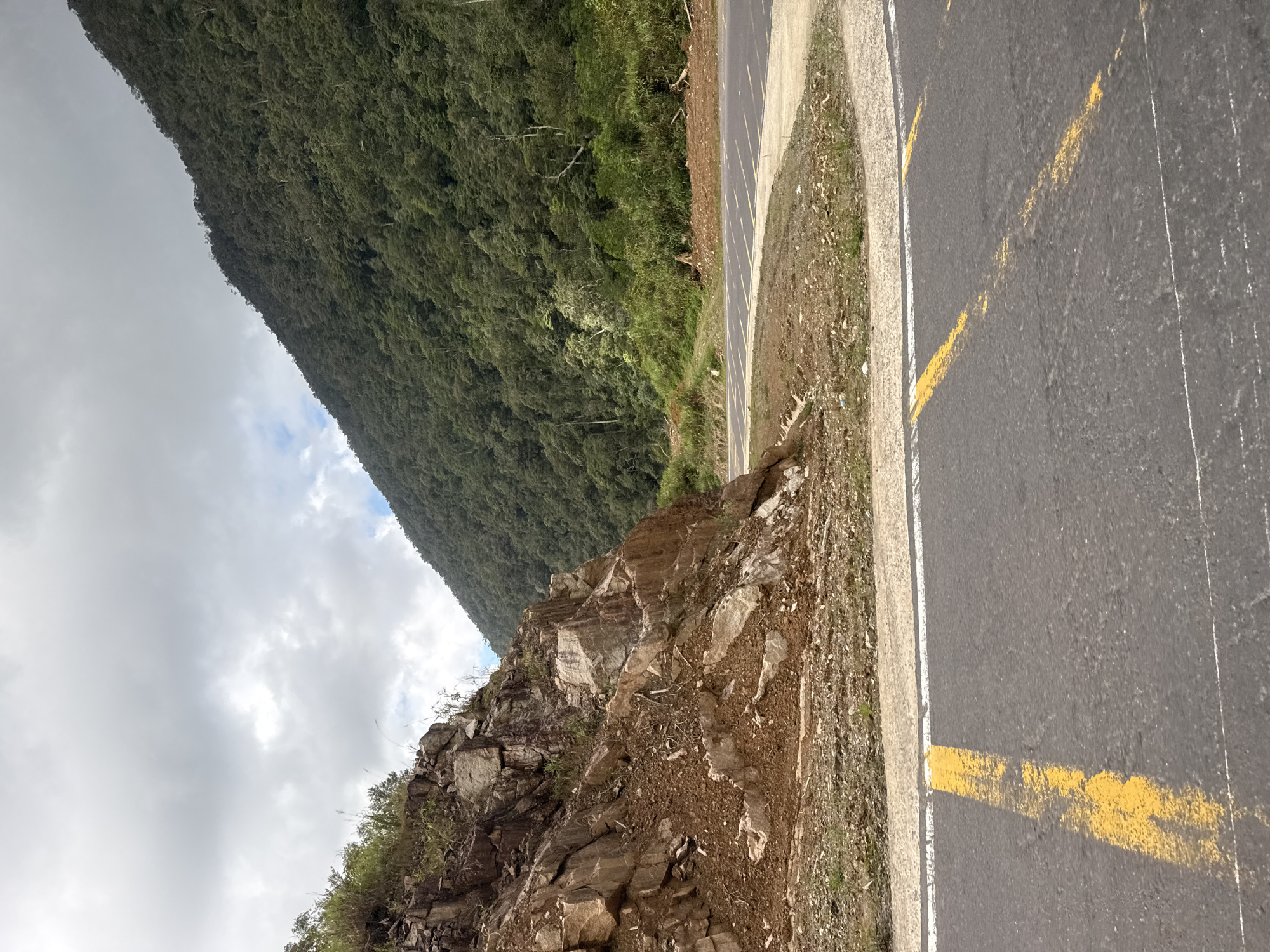 The image depicts a winding mountain road in Nam Khanh Vinh, Vietnam. The road, paved with asphalt, is marked with faded yellow lines and a white line on the edge. To the left, a steep, rocky embankment rises, showing signs of erosion with loose soil and scattered rocks. Vegetation, including grass and small plants, grows sporadically on the embankment. To the right of the road, a lush, green mountain covered in dense forest slopes upwards. The sky is overcast with a mixture of gray clouds and patches of lighter sky. The scene suggests a remote, natural landscape, likely a scenic route or a construction area near a mountainous region.