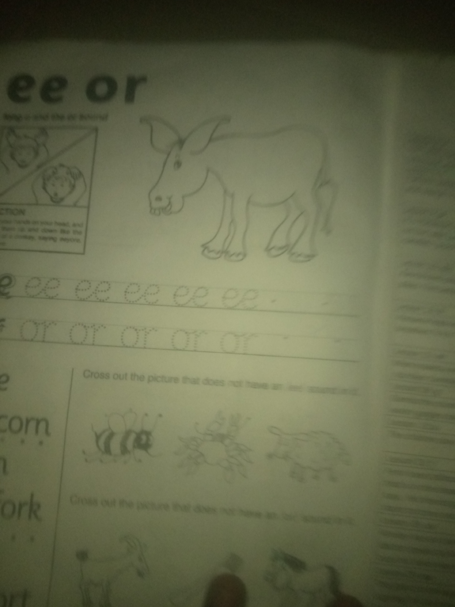 The image is a close-up, slightly blurry photograph of a page from a children's learning workbook. The page is divided into sections, featuring text, illustrations, and lines for writing practice.
At the top of the page, the words "ee or" are prominently displayed in large, sans-serif font. Below this, there's a smaller line of text, partially obscured, that appears to be an instruction. To the right of the text is a line drawing of a donkey.
Underneath the donkey illustration, there are two horizontal lines with dotted outlines of cursive letters. The top line contains repetitions of "ee", and the line below it contains repetitions of "or".
Further down the page, there are two instructional phrases: "Cross out the picture that does not have an 'ee' sound." and "Cross out the picture that does not have an 'or' sound."
Below the first instruction, there are three small illustrations: a bee, a star-like or spiky object, and what appears to be a pig or boar.
Below the second instruction, there are two more illustrations: a goat or sheep, and another animal that is partially obscured but resembles a horse or donkey.
To the left of the page, there are vertical words in a large font: "e", "com", "n", "fork", and "ort". Some of these words appear to have dotted letters as well, suggesting they are also for writing practice.
The overall color of the page is a muted, off-white or light gray, with some areas appearing darker due to lighting or shadows. The lighting is dim, and the image quality is not high, with some blurriness and noise present. There is no indication of the location in the city of Jauro Yinu, Nigeria within the image itself.