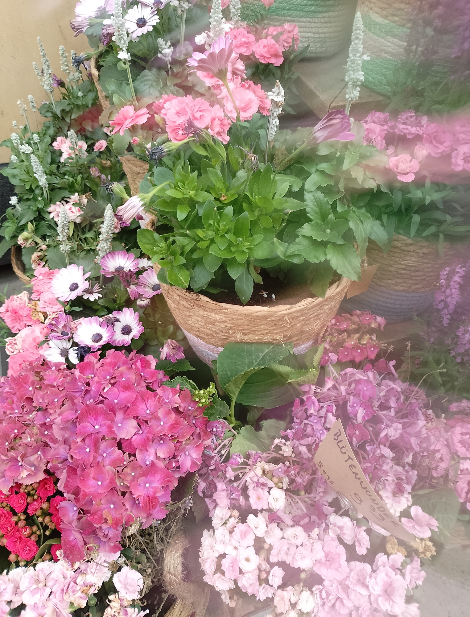 The image shows a close-up of a flower display, likely in a shop or market, as suggested by the woven baskets and a price tag. The display features a variety of pink and purple flowers, including hydrangeas, daisies with purple and white petals, and smaller, clustered pink blooms. Some of the flowers are in full bloom, while others appear to be buds or slightly wilted. Green foliage is interspersed throughout the arrangement. A brown paper tag with handwritten text and a price is visible, partially obscured by the flowers. The lighting is soft and diffused, possibly due to a window or display lighting. The background is blurred, but suggests more plants and possibly a wall or other displays. The overall impression is of a vibrant and abundant floral arrangement.