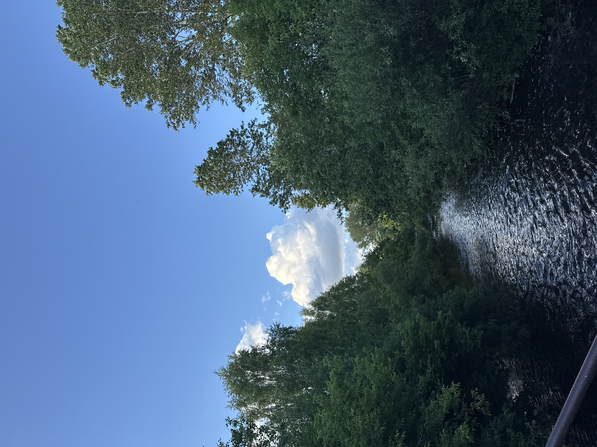 The image depicts a tranquil natural scene of a river flowing through a lush green forest under a clear blue sky with scattered white clouds. The river is dark and choppy, reflecting the surrounding trees and sky. The trees are dense and verdant, forming a canopy that lines the riverbanks, with some taller trees reaching towards the sky. The overall impression is one of a peaceful, natural setting, possibly a park or a nature reserve within the city. The specific location is not identifiable from the image alone.