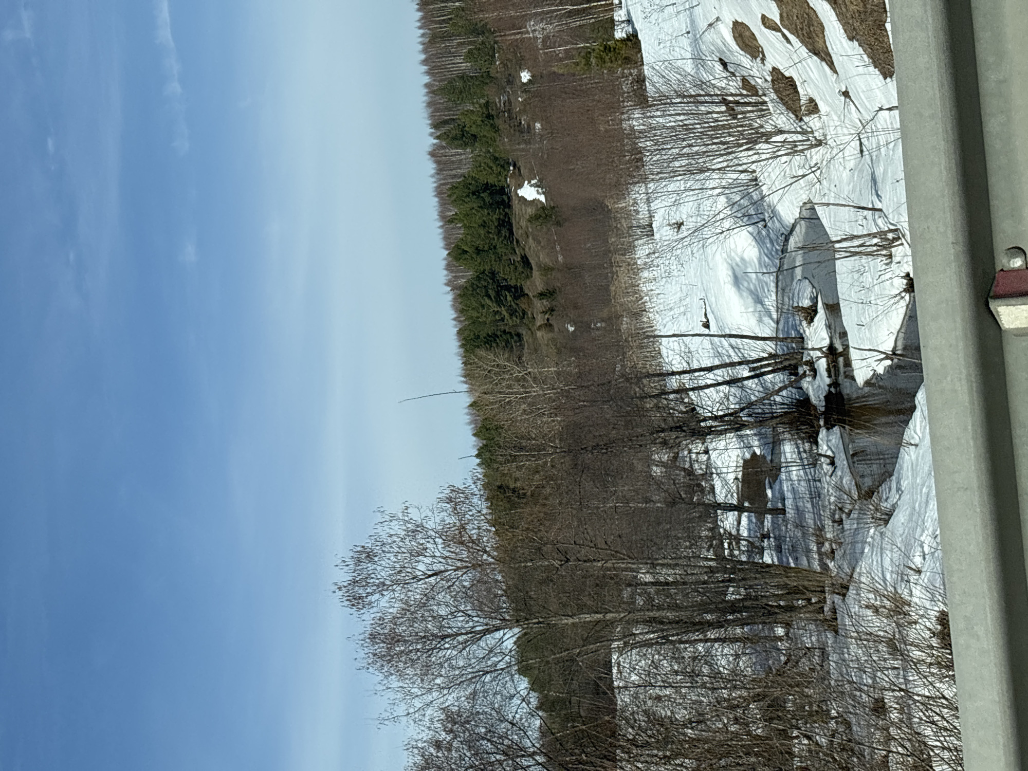 The image depicts a landscape scene, possibly in a rural or semi-rural area in or near Krasnye Gorki, Russia, given the presence of snow, trees and the sky.
**Environment:** The scene is characterized by patches of snow on the ground, indicating a late winter or early spring setting. A mix of deciduous and evergreen trees is present. The sky is blue with some signs of clouds.
**Subjects/Objects:** Trees dominate the middle ground, appearing bare with no leaves or with very early budding, suggesting it's not quite spring. A gray metal pole is visible on the right side of the picture which may be a guardrail of the road.
**Actions/Interactions:** There are no visible people or animals in the image. The scene is static, representing a still moment in time.