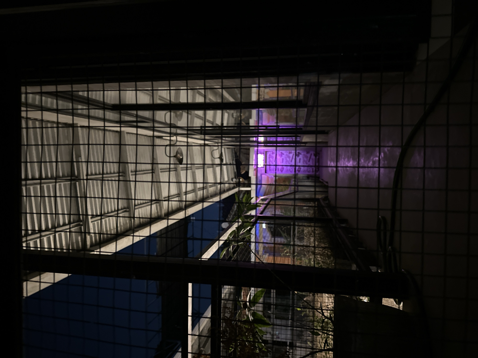 A dimly lit pathway, likely outdoors, is viewed through a wire fence. The pathway is covered by a corrugated metal roof supported by a metal frame. Several bare light fixtures hang from the ceiling. The ground is paved and reflects a bright purple light emanating from further down the path. To the left, some foliage is visible in planters. The overall scene suggests an establishment that is closed for the night or is in a transitional state. The lighting suggests evening or night. The location is Kuta Selatan, Indonesia.